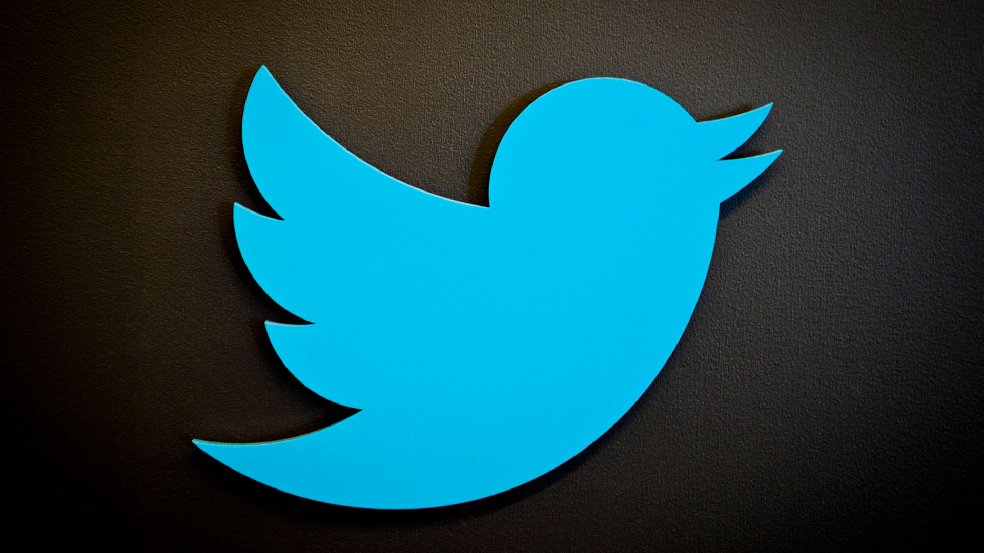 Twitter Logo | picture alliance/dpa
