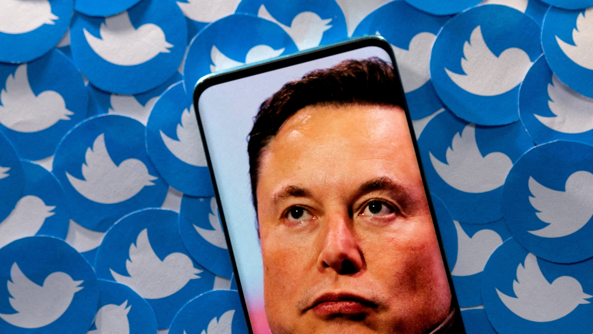 Twitter Files: Wie Elon Musk Verschwörungsmythen fördert