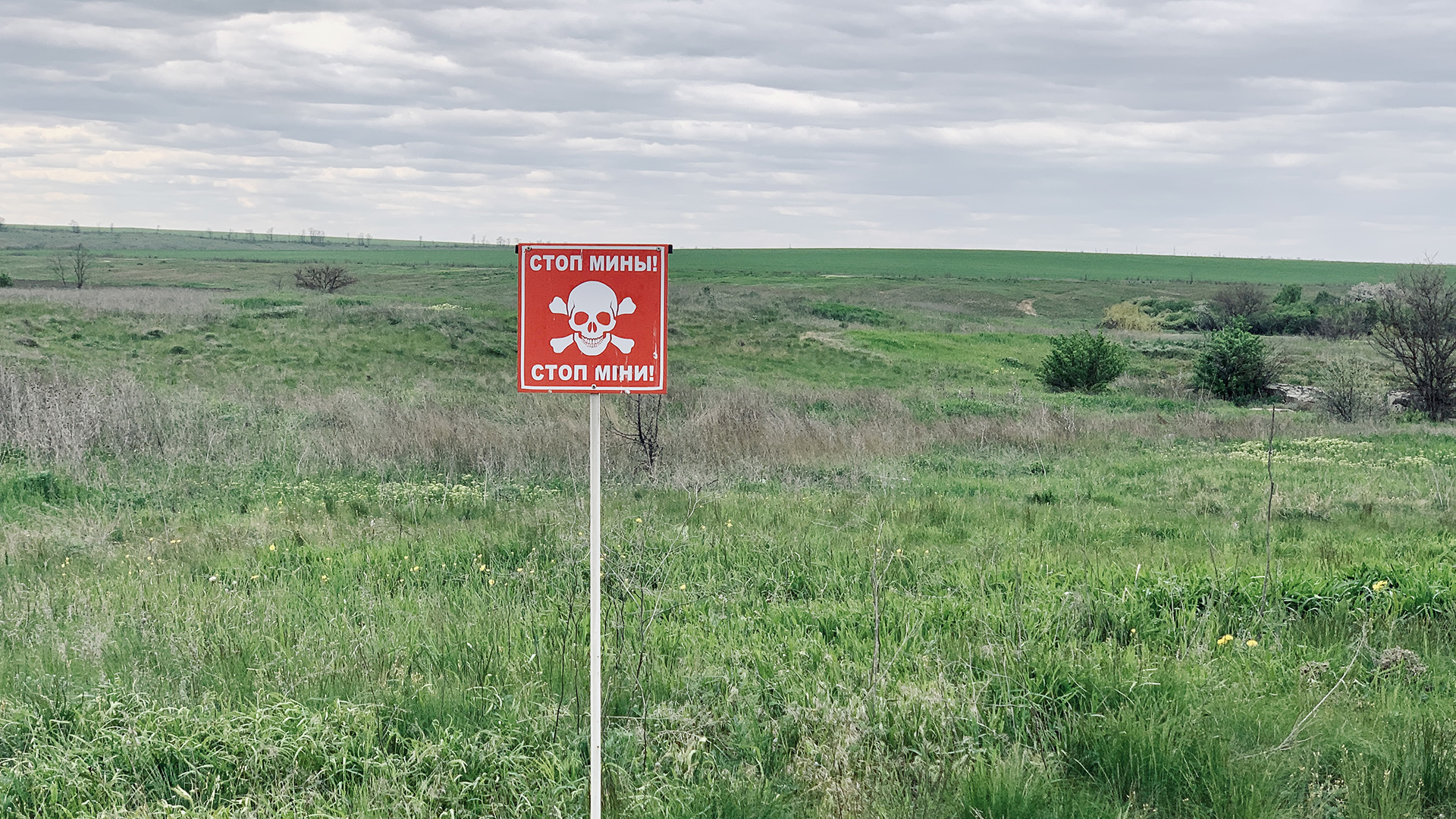 Ein Warnschild mit Totenkopf steht auf einer Wiese in der Nähe der Frontlinie. | Joachim Angerer/WDR 
