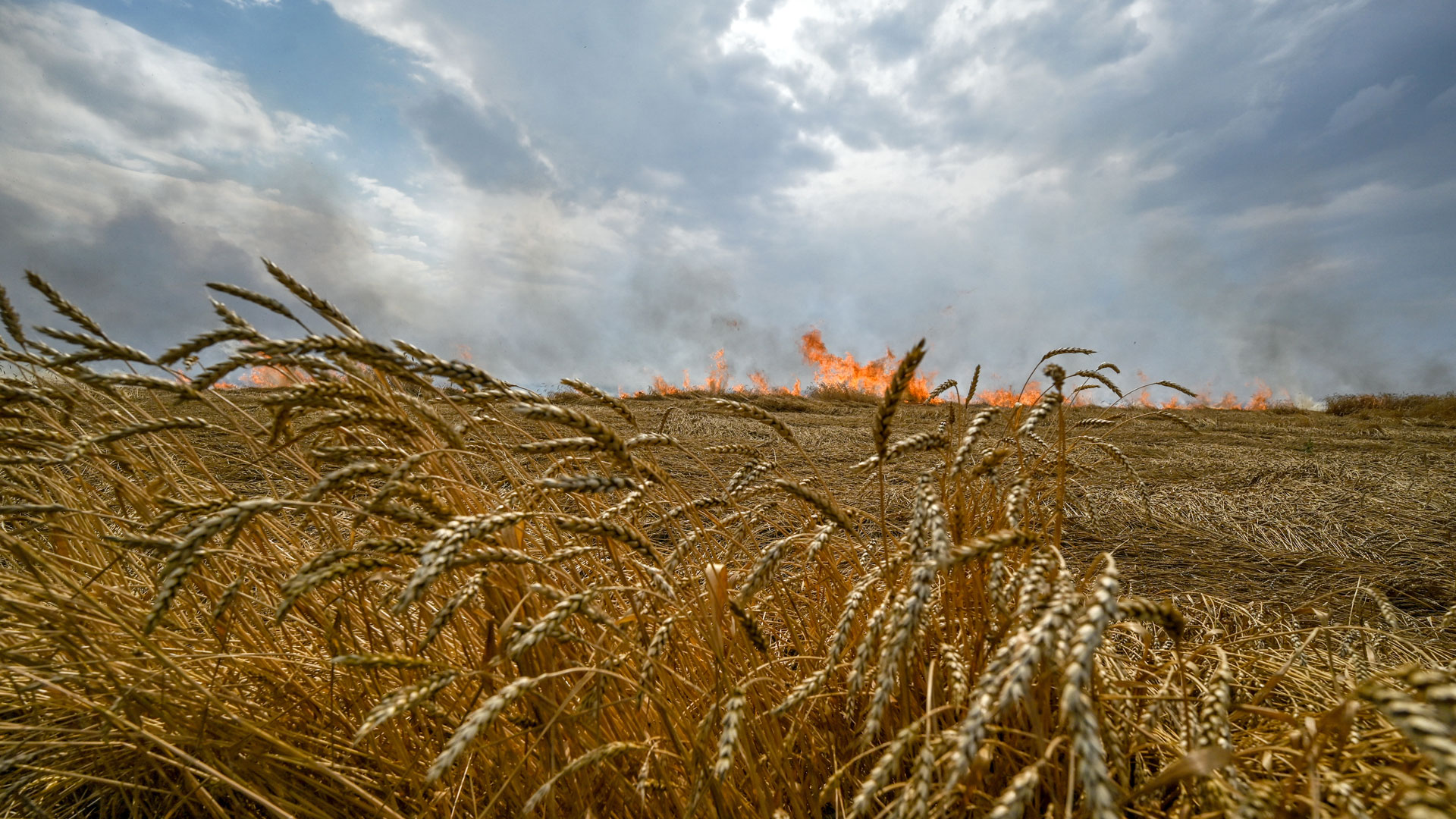 brennendes Weizenfeld in Saporischschja, Ukraine