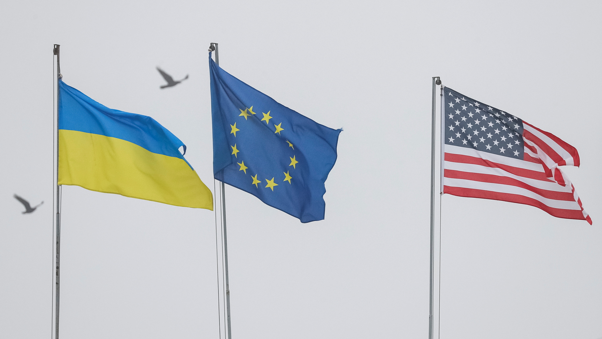 Flaggen der Ukraine, der Europäischen Union und den USA  | REUTERS