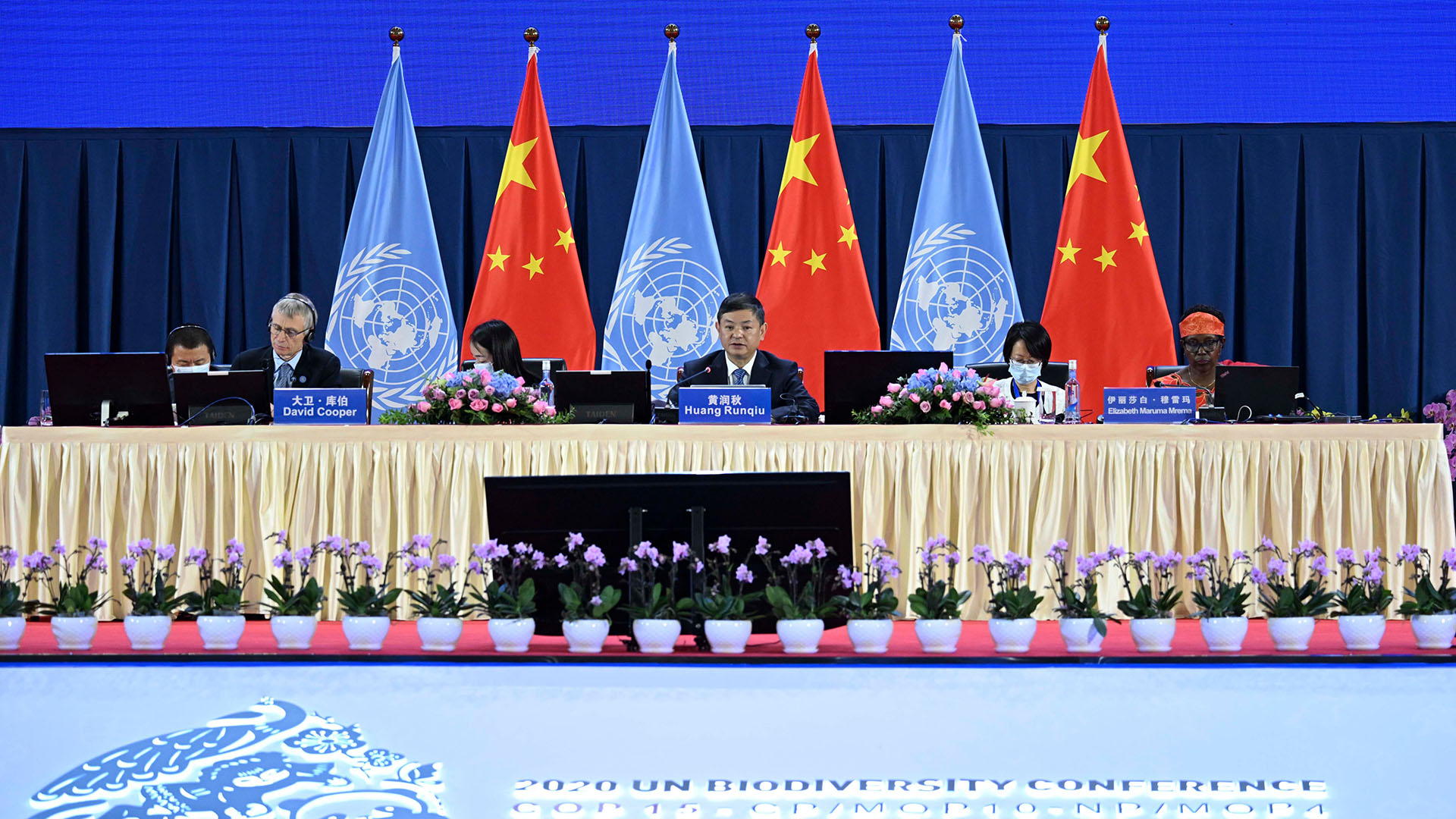 Plenarsitzung während der 15. UN-Weltnaturschutzkonferenz. | picture alliance/dpa/XinHua