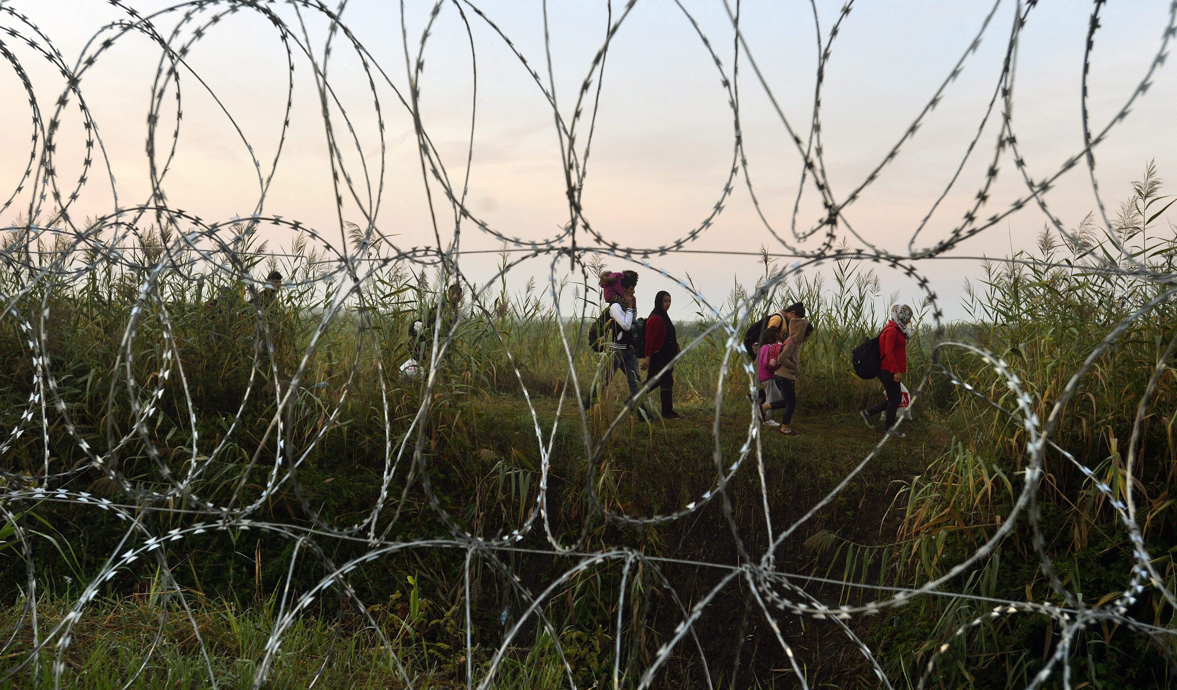 An der Grenze zwischen Ungarn und Serbien laufen 2015 Flüchtlinge, die auf dem Weg in die EU sind. | picture alliance / dpa