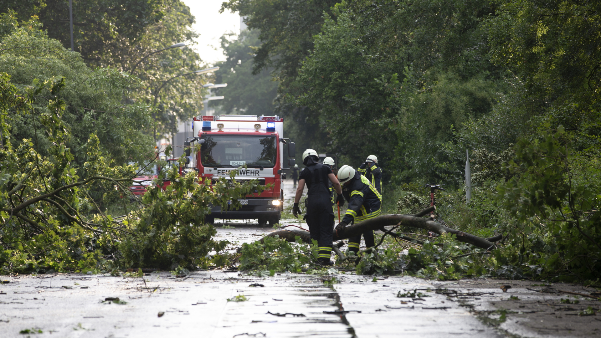 Durch einen Sturm entwurzelte Bäume liegen auf der Straße in Köln  | dpa