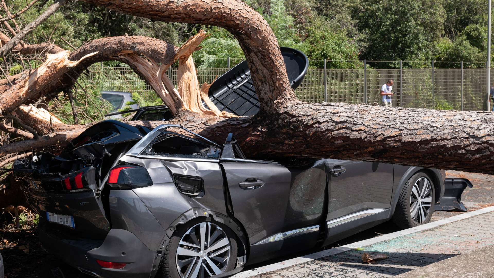 Durch einen umgestürzten Baum zerstörtes Auto in Marina di Massa, Italien.