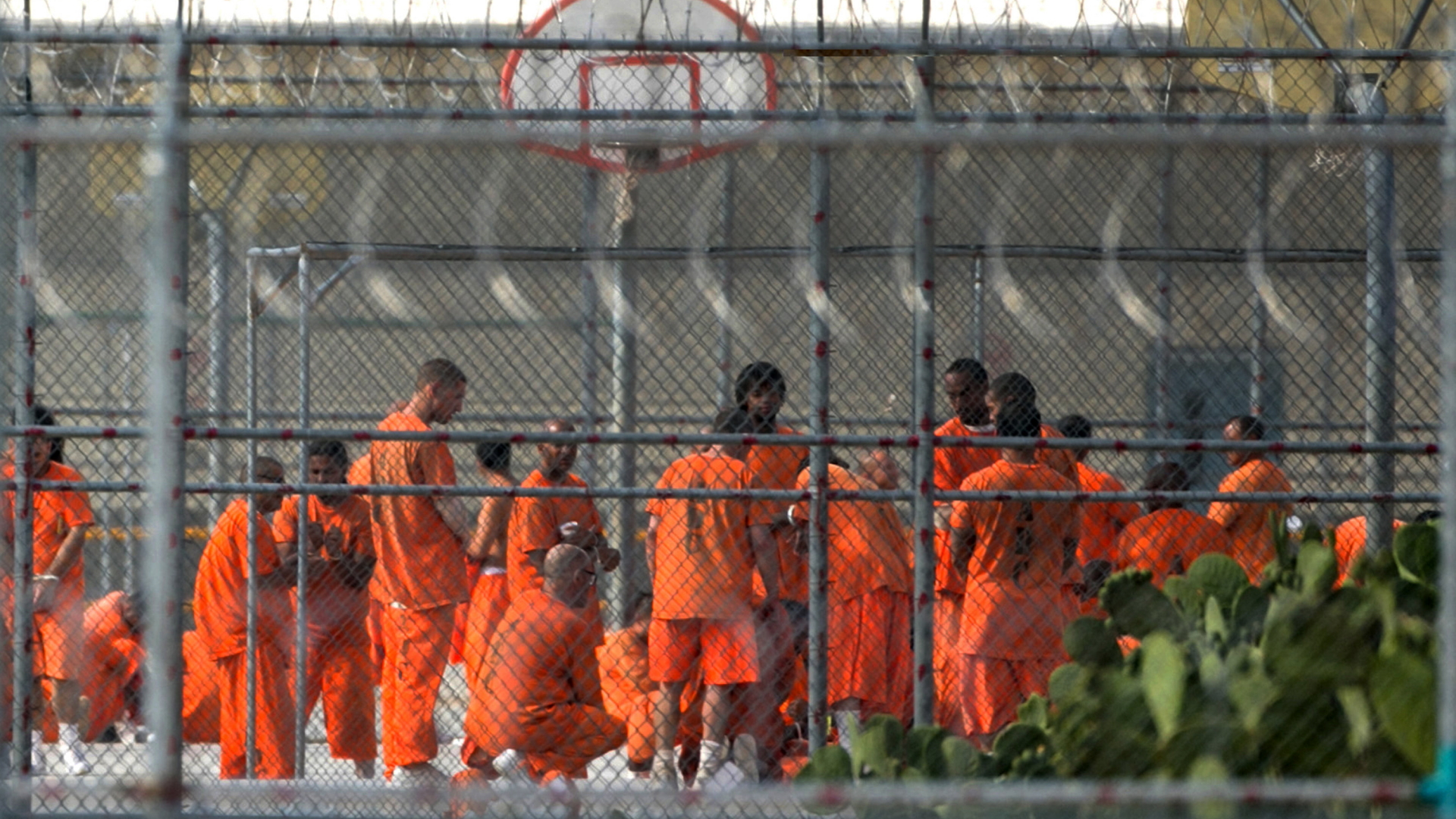 Gefängnisinsassen in einem US-Gefängnis treffen sich zum Freigang im Freien. | Bildquelle: AP