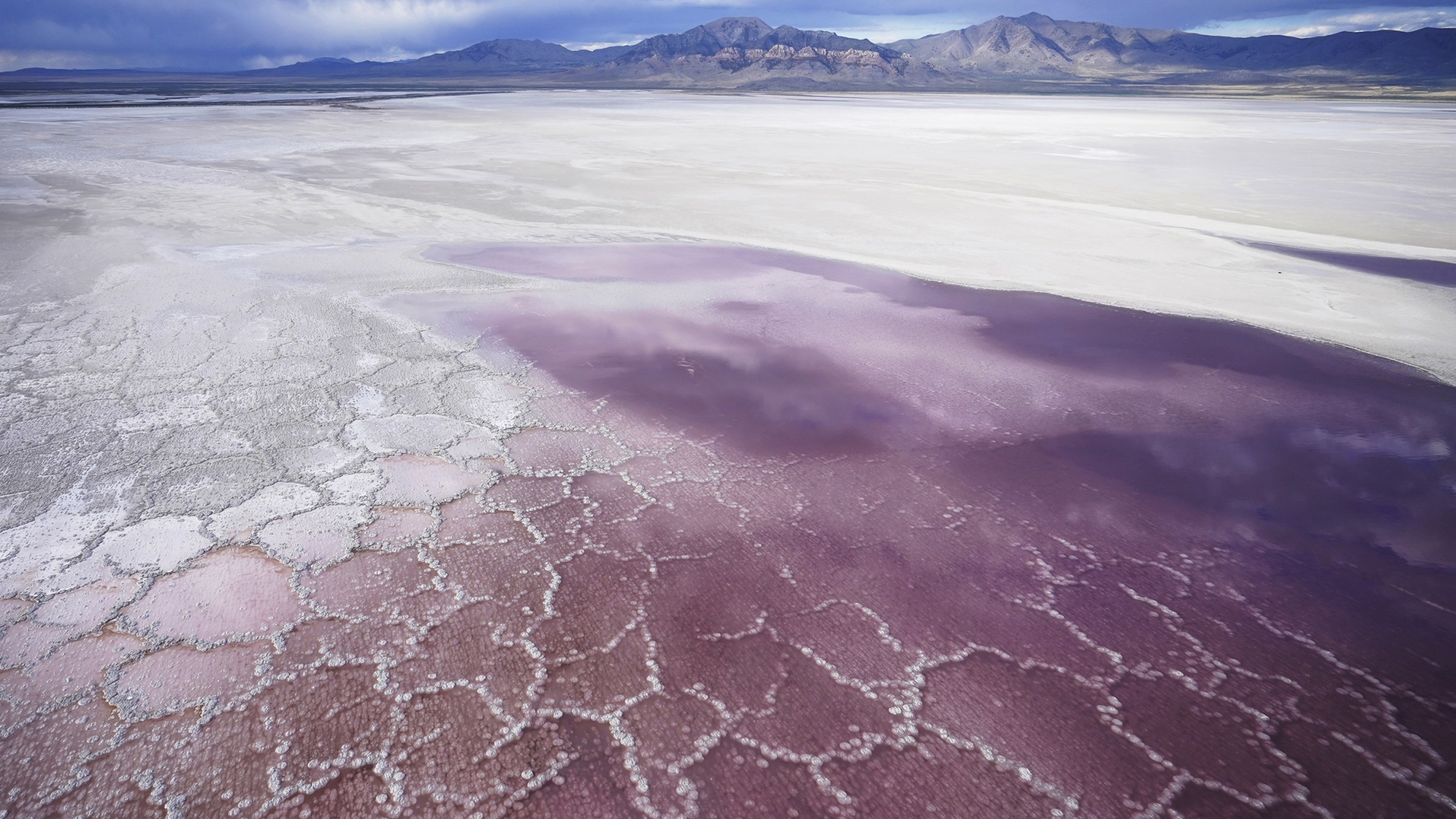 Das Wasser über der Salzkruste des Great Salt Lake in Utah schimmert im Mai 2021 lila und pink. | AP