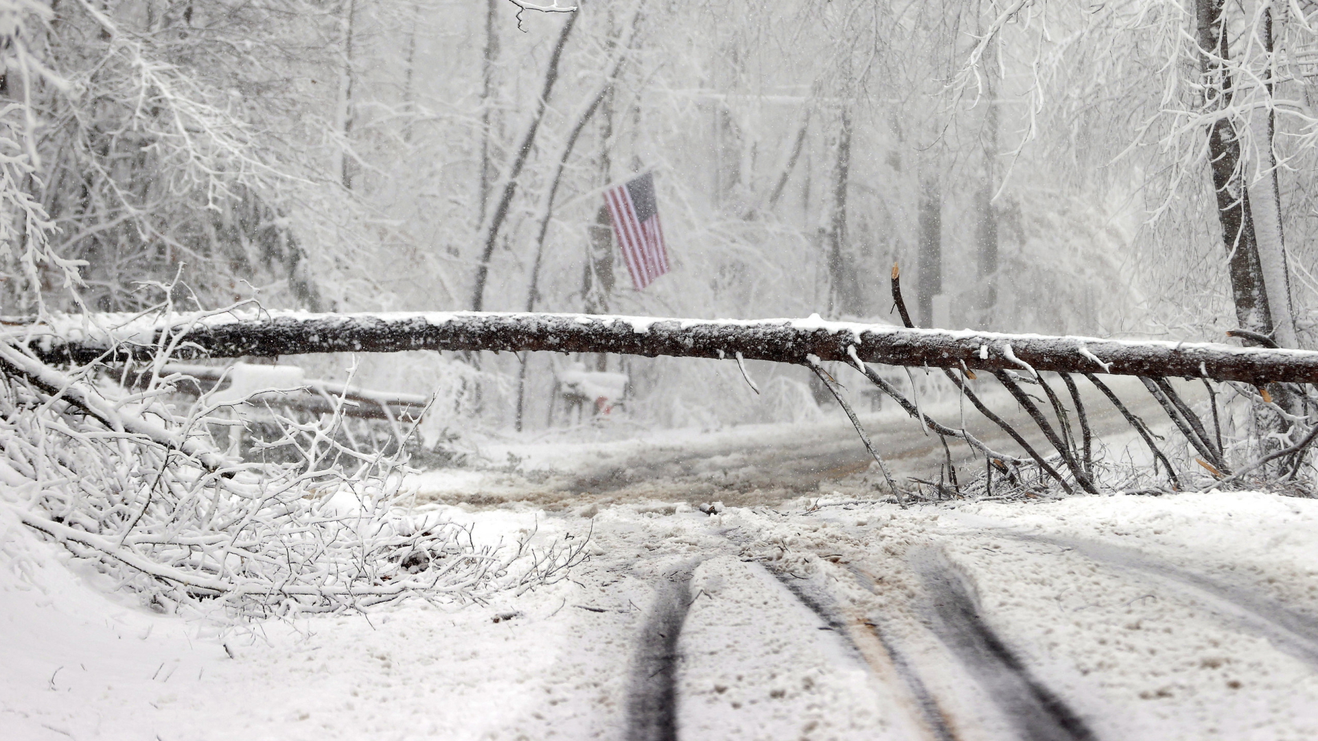 Ein Baum liegt auf einer Straße in Hanover County, Virginia | AP