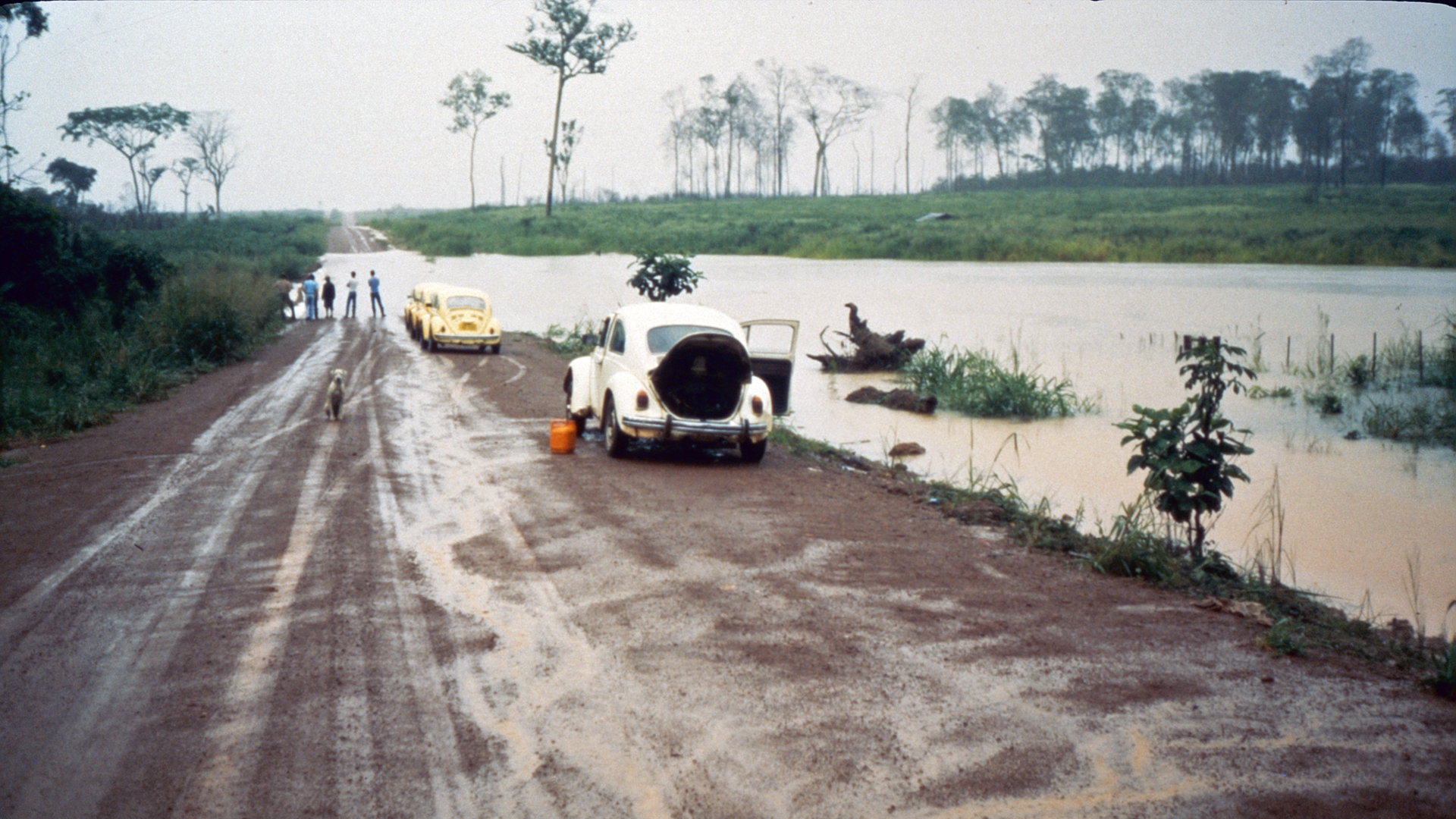 Eine überflutete Straße mit mehreren VW Käfer in einer ehemals zum VW-Konzern gehörende Farm in Brasilien. | Privat/NDR/ARD