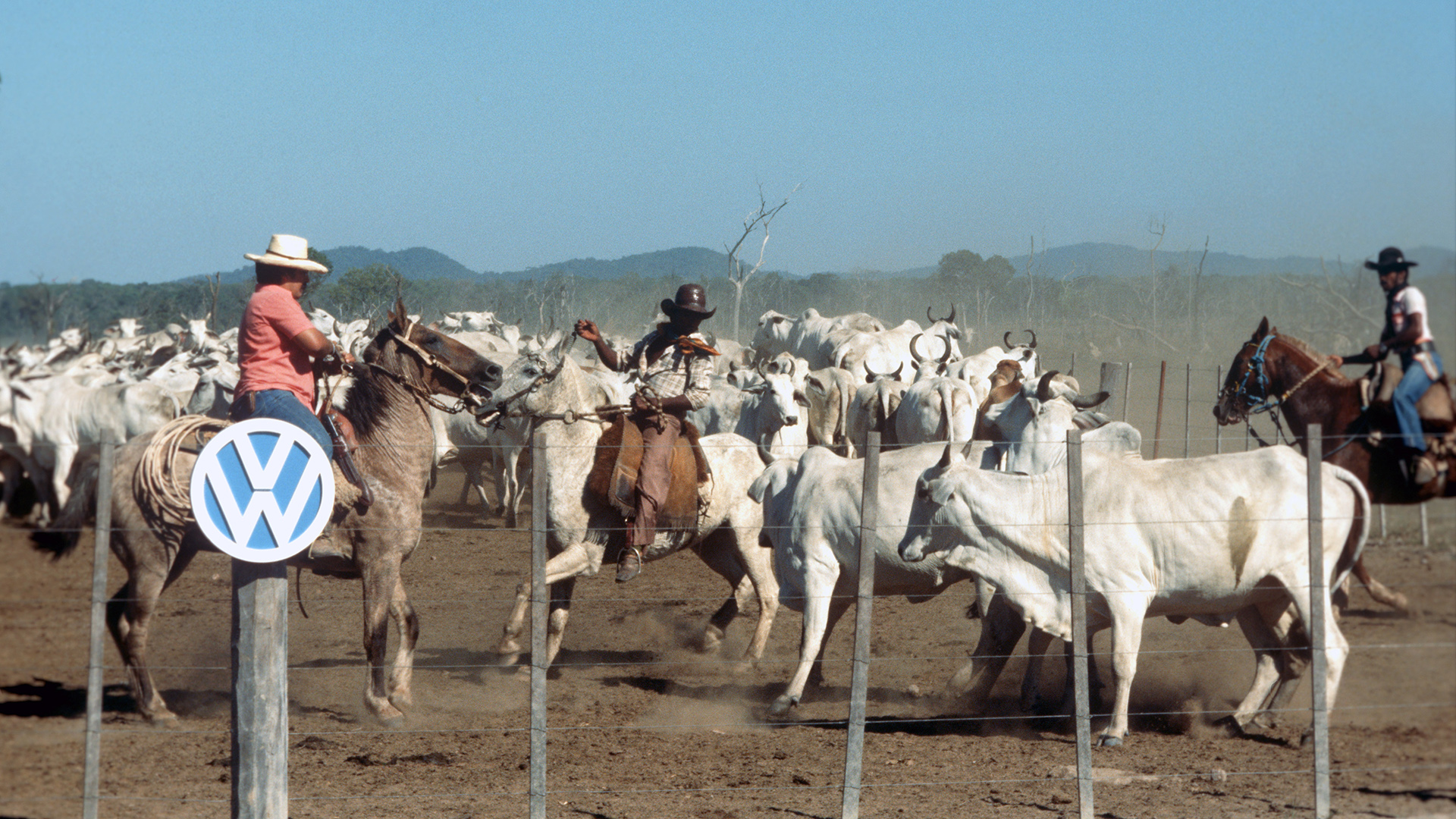 Gauchos zu Pferd treiben Rinder vor einem Pferch zusammen, vorn auf einem Pfahl das VW-Logo. (Aufnahme um 1978). | picture alliance / Wolfgang Weih