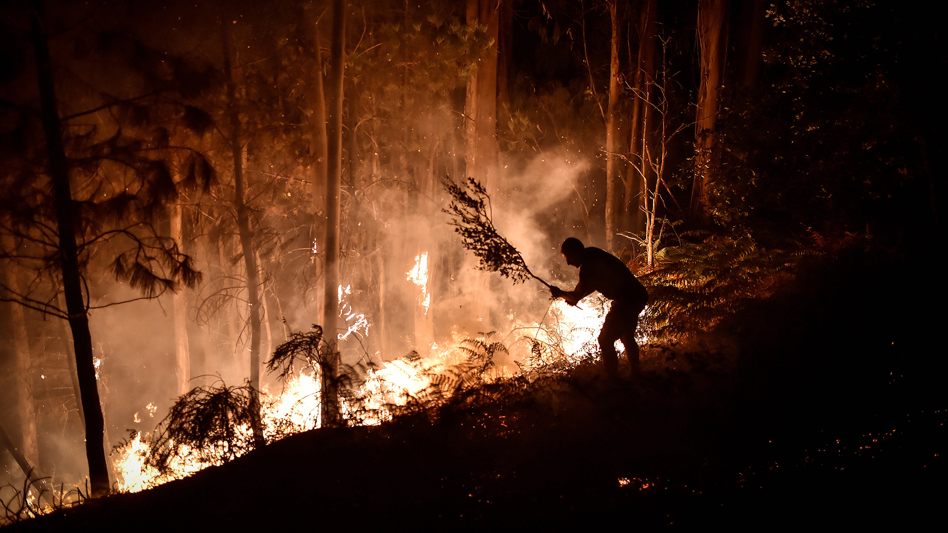 Ein Mann versucht mit einem langen Ast die Flammen zu ersticken. | EPA