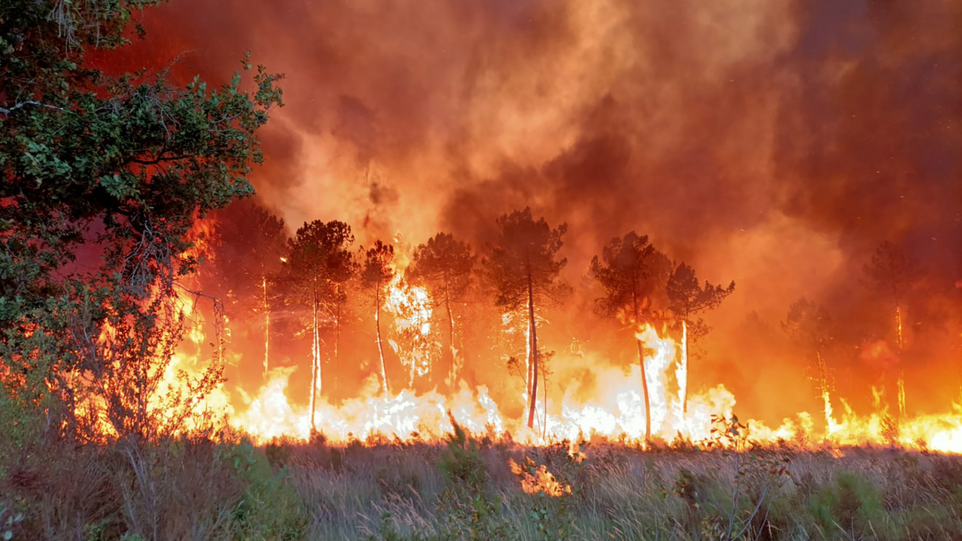 Waldbrand im Süden von Frankreich | AP