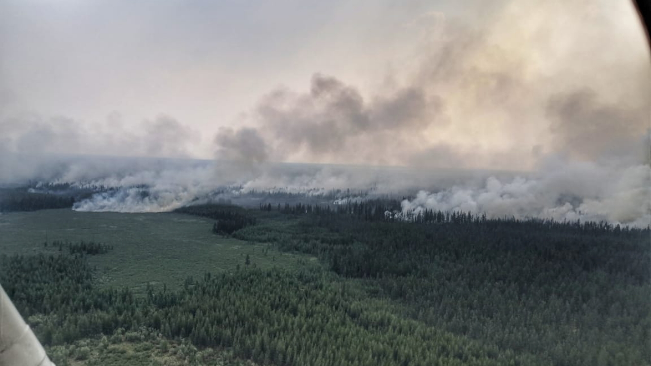 Waldbrand in Russland | REUTERS