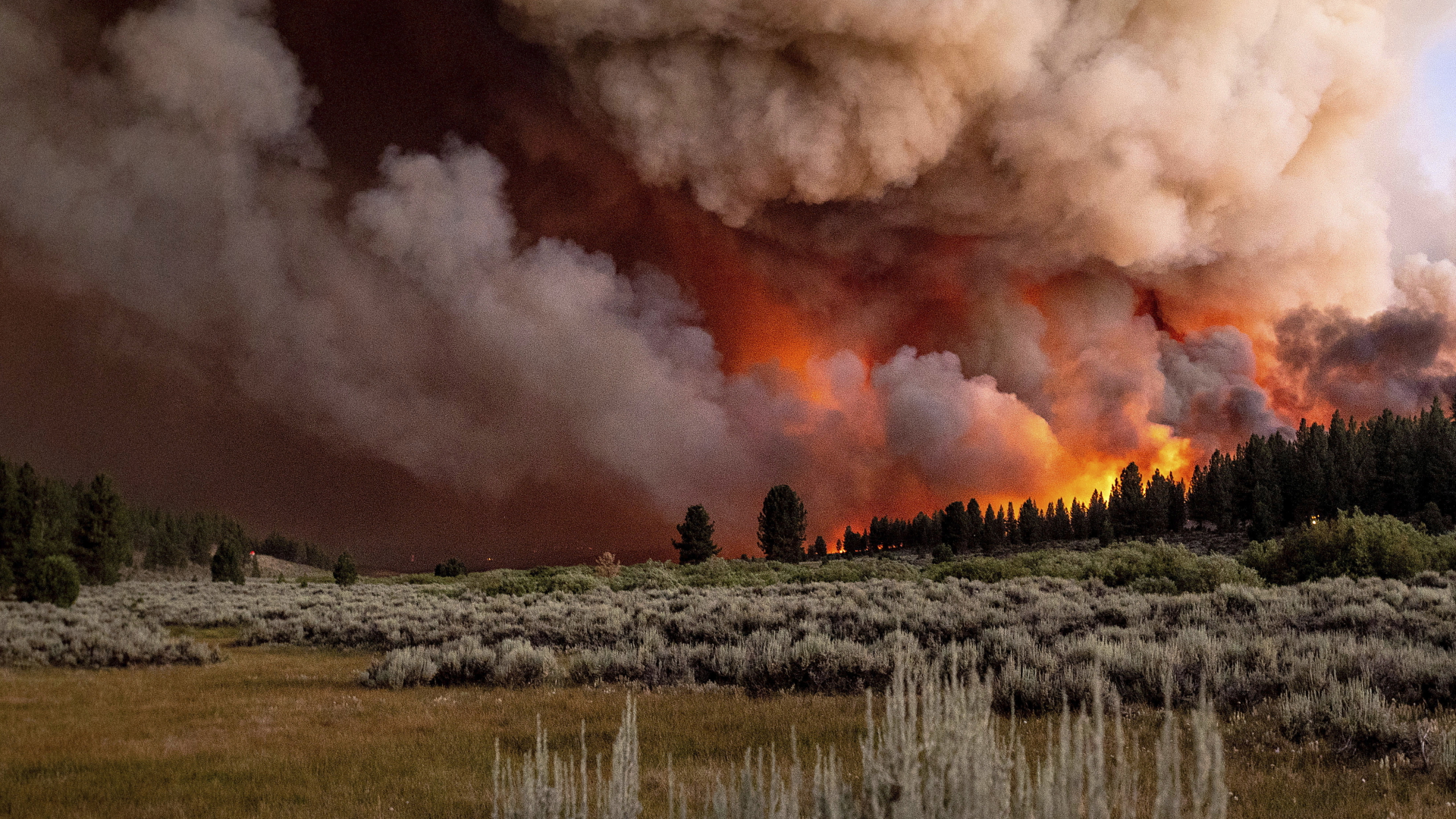 Rauchschwaden steigen während eines Waldbrands am Frenchman Lake im Plumas National Forest auf.  | dpa