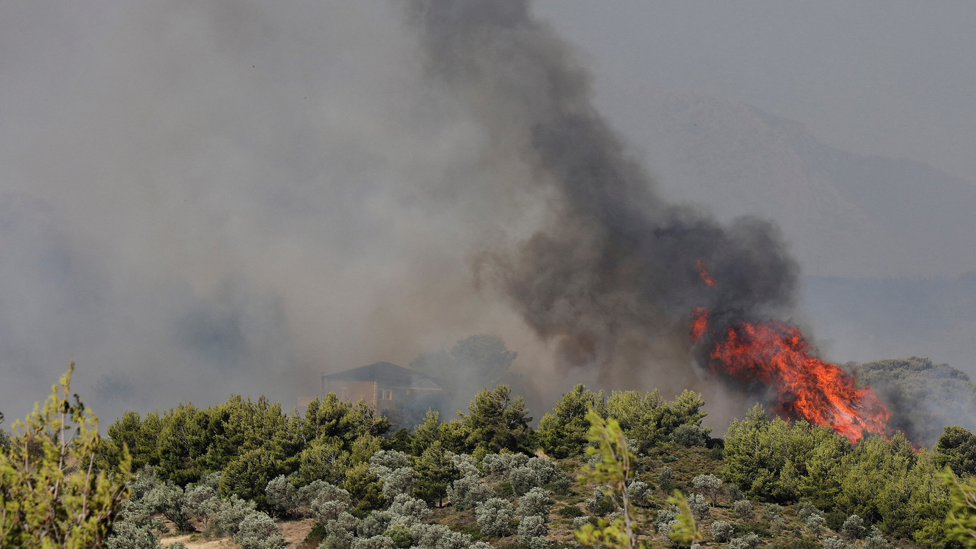 Die Flammen eines Waldbrands sind bereits in der Nähe eines Hauses.  | REUTERS