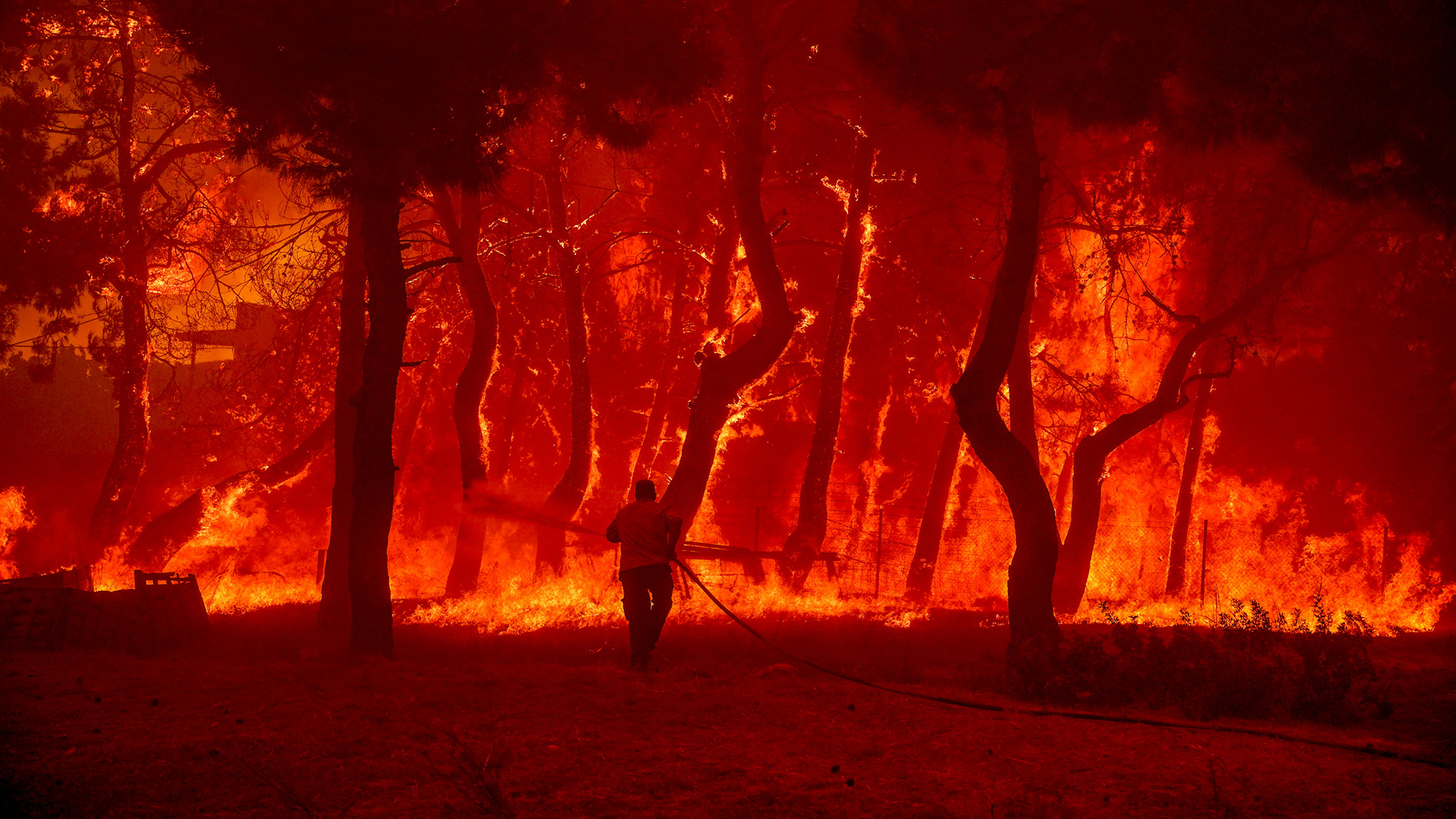 Ein Mann geht mit einem Löschschlauch auf die Flammen eines Waldbrandes zu. | dpa