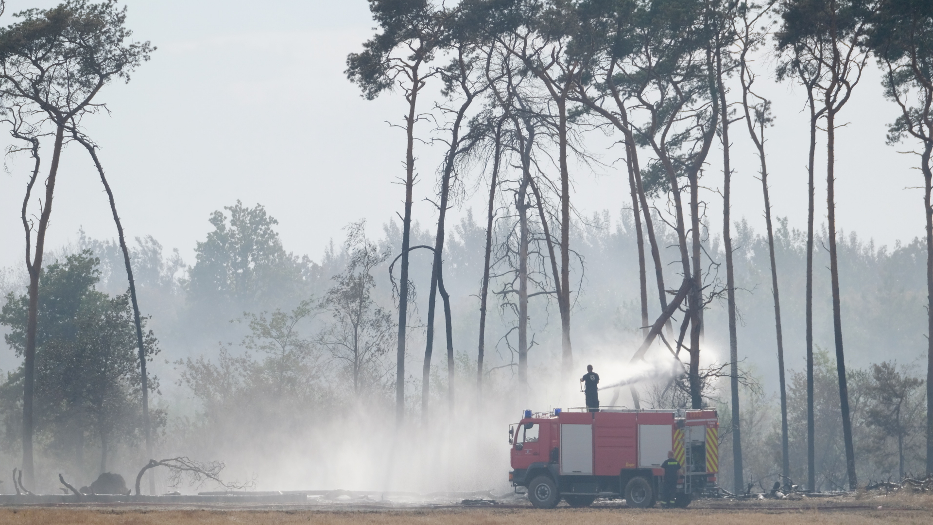 Die Feuerwehr beim Löschen eines Waldbrandes im Landkreis Elbe-Elster.  | dpa