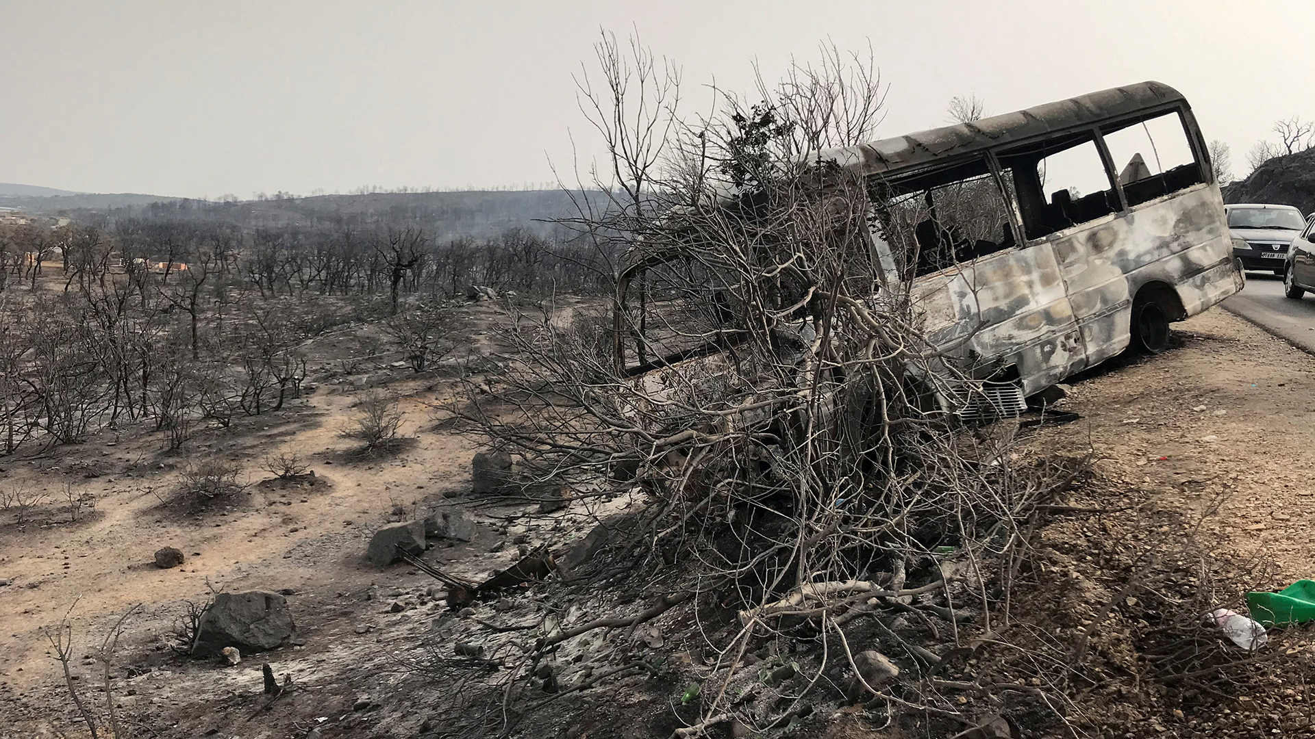 Verbrannte Bäume und ein Bus sind nach einem Waldbrand in El Kala (Provinz Al Tarf, Algerien) zu sehen. | REUTERS