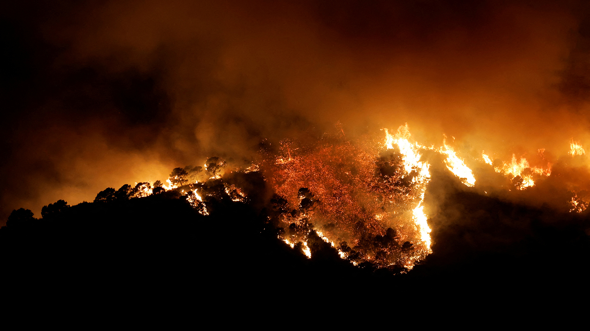 Ein Waldbrand ist in Benahavís (Spanien) zu sehen. | REUTERS