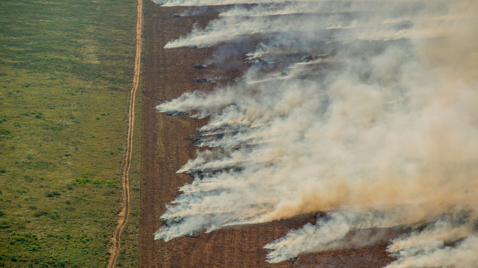 Brennende Waldfläche in Nova Maringa im Amazonasgebiet | dpa