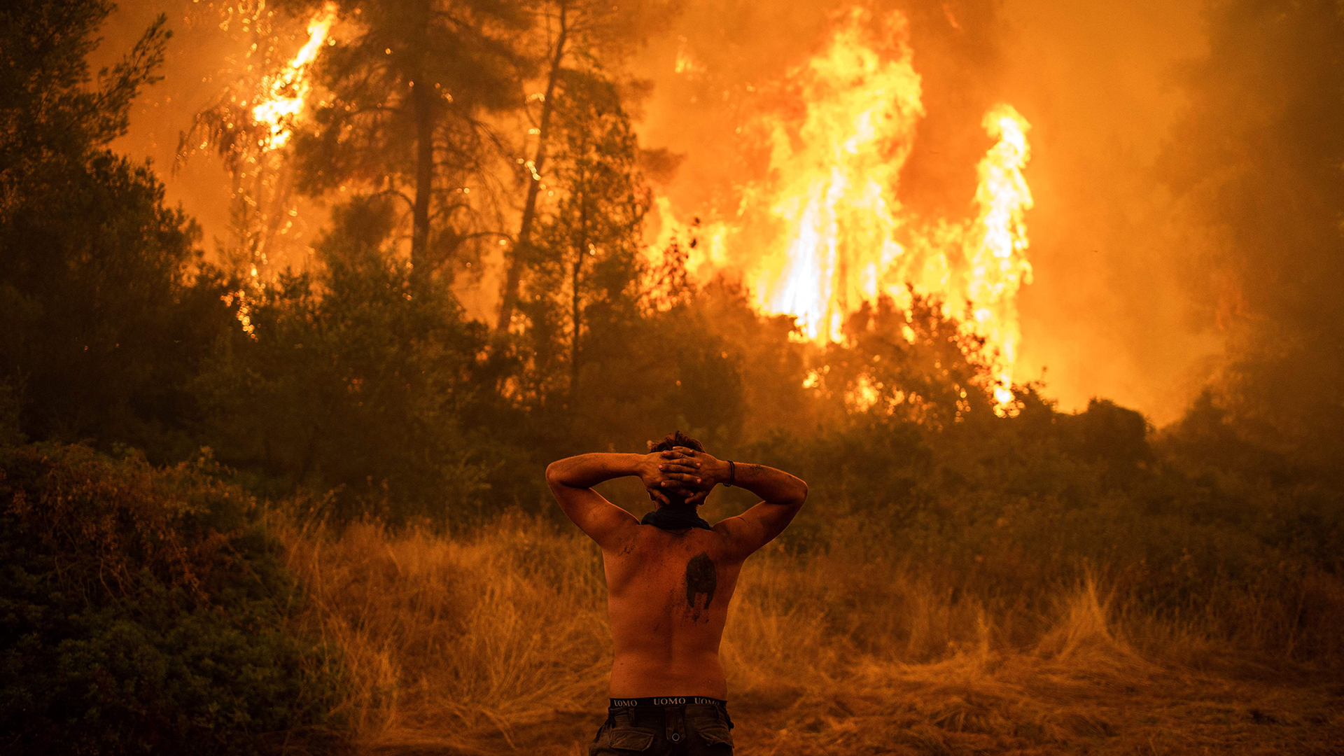 Ein Anwohner blickt auf die Flammen des Waldbrands auf der griechischen Insel Euböa. | AFP