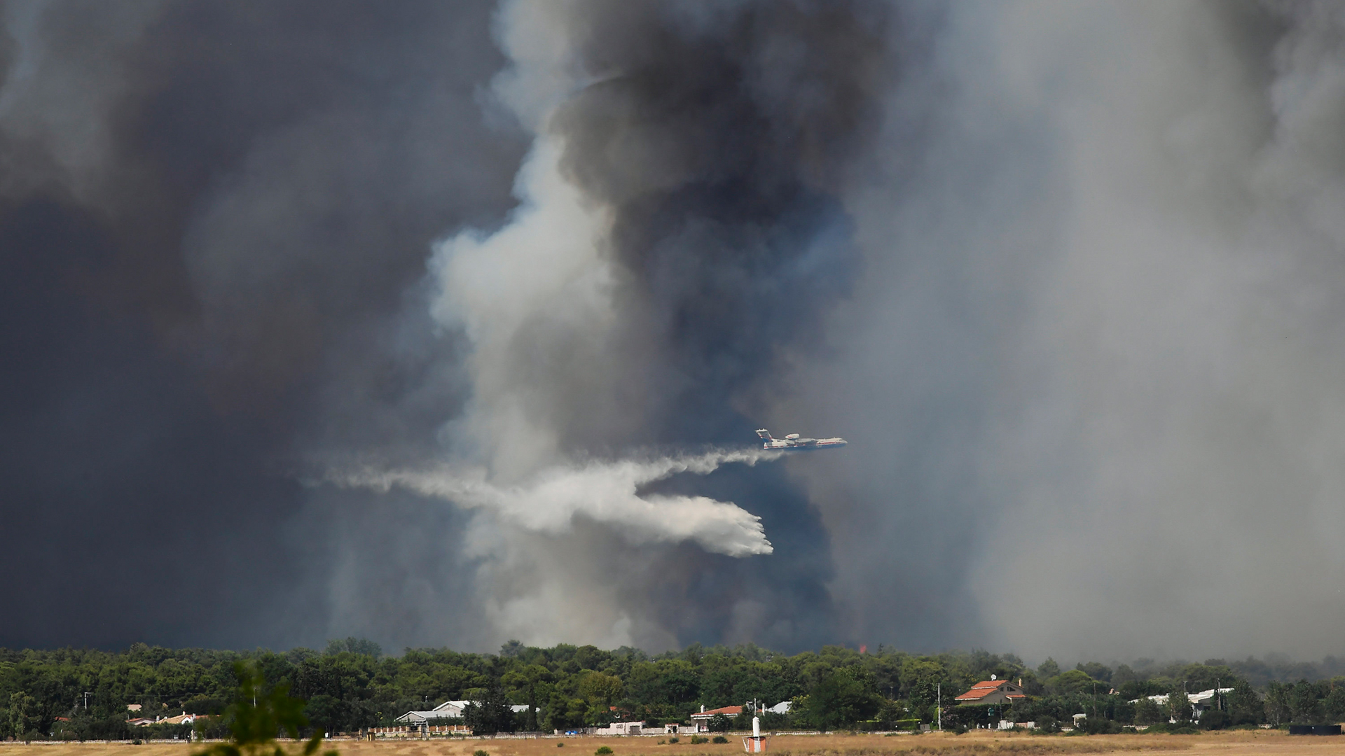Ein Löschflugzeug wirft in Tatoi - nördlich von Athen - Wasser über einem brennenden Gebiet ab. | AP