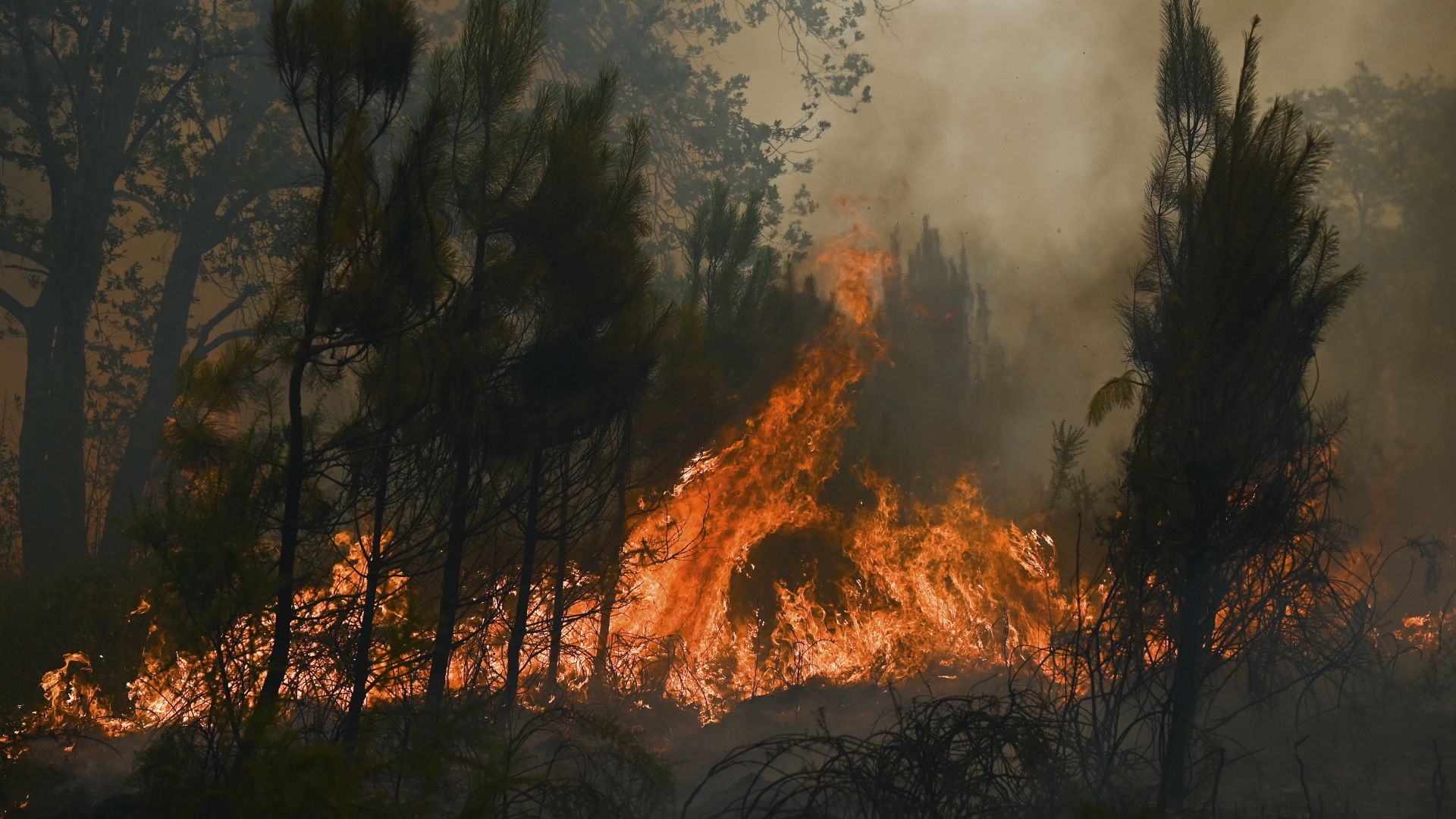 Flammen lodern auf bei einem Waldbrand in der Nähe von Louchats in Frankreich | dpa