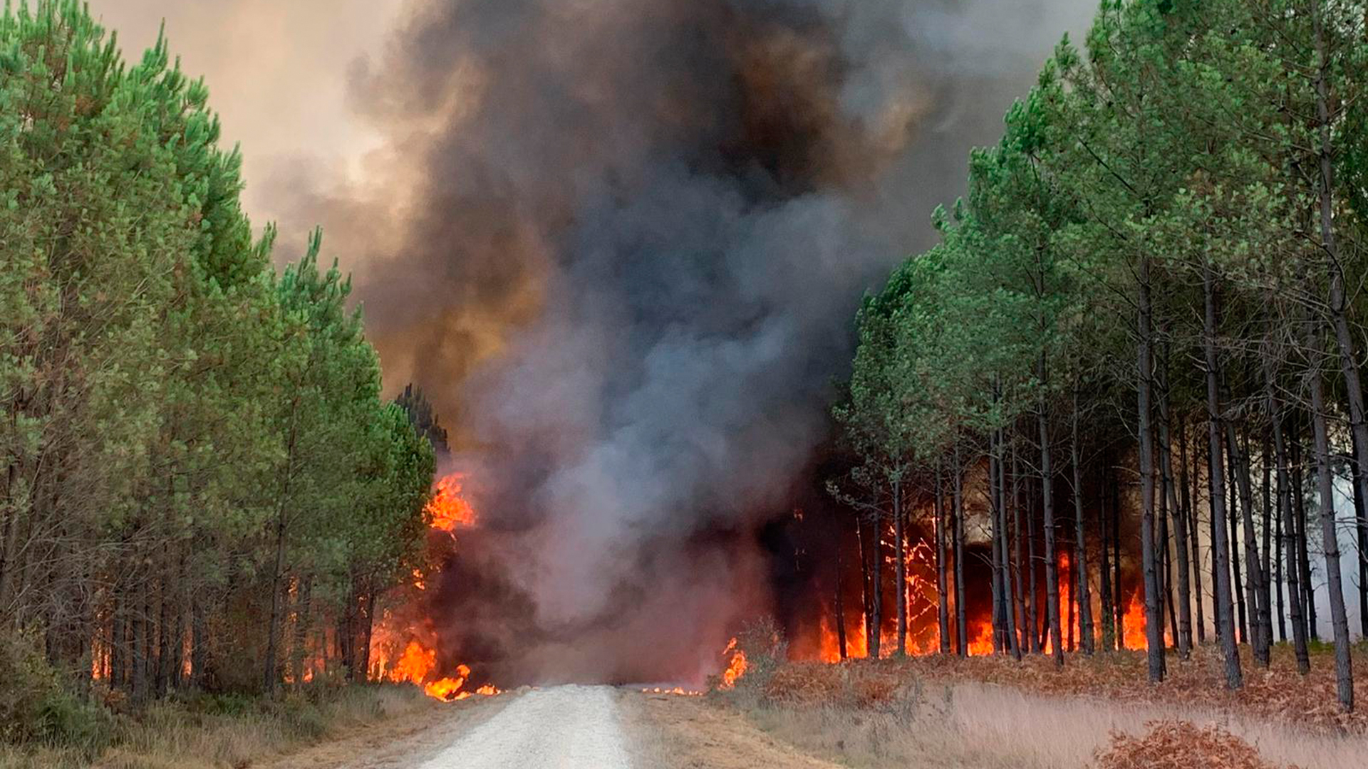 Waldbrand in Saint Magne, südlich von Bordeaux (Frankreich) | AP