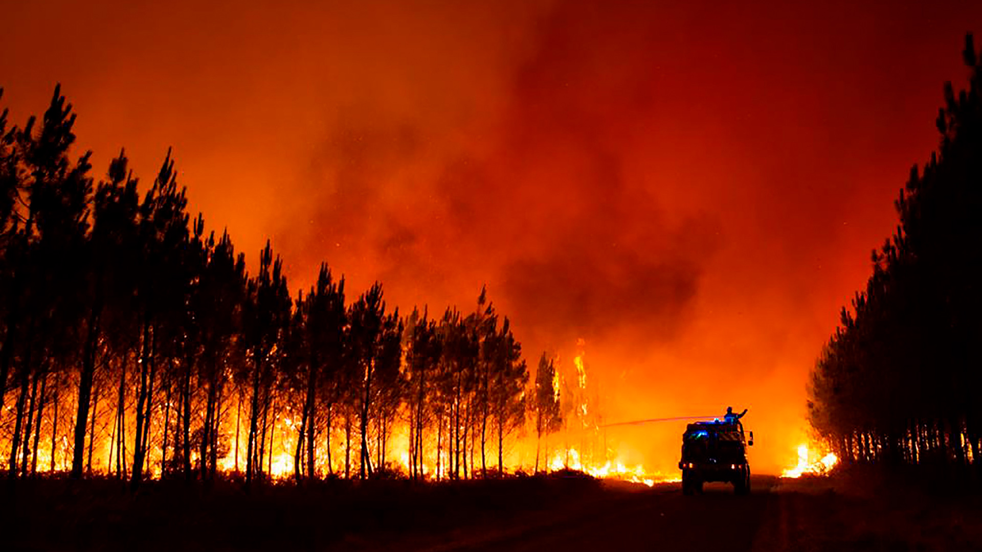 Températures records : de nouveaux feux de forêts font rage en France