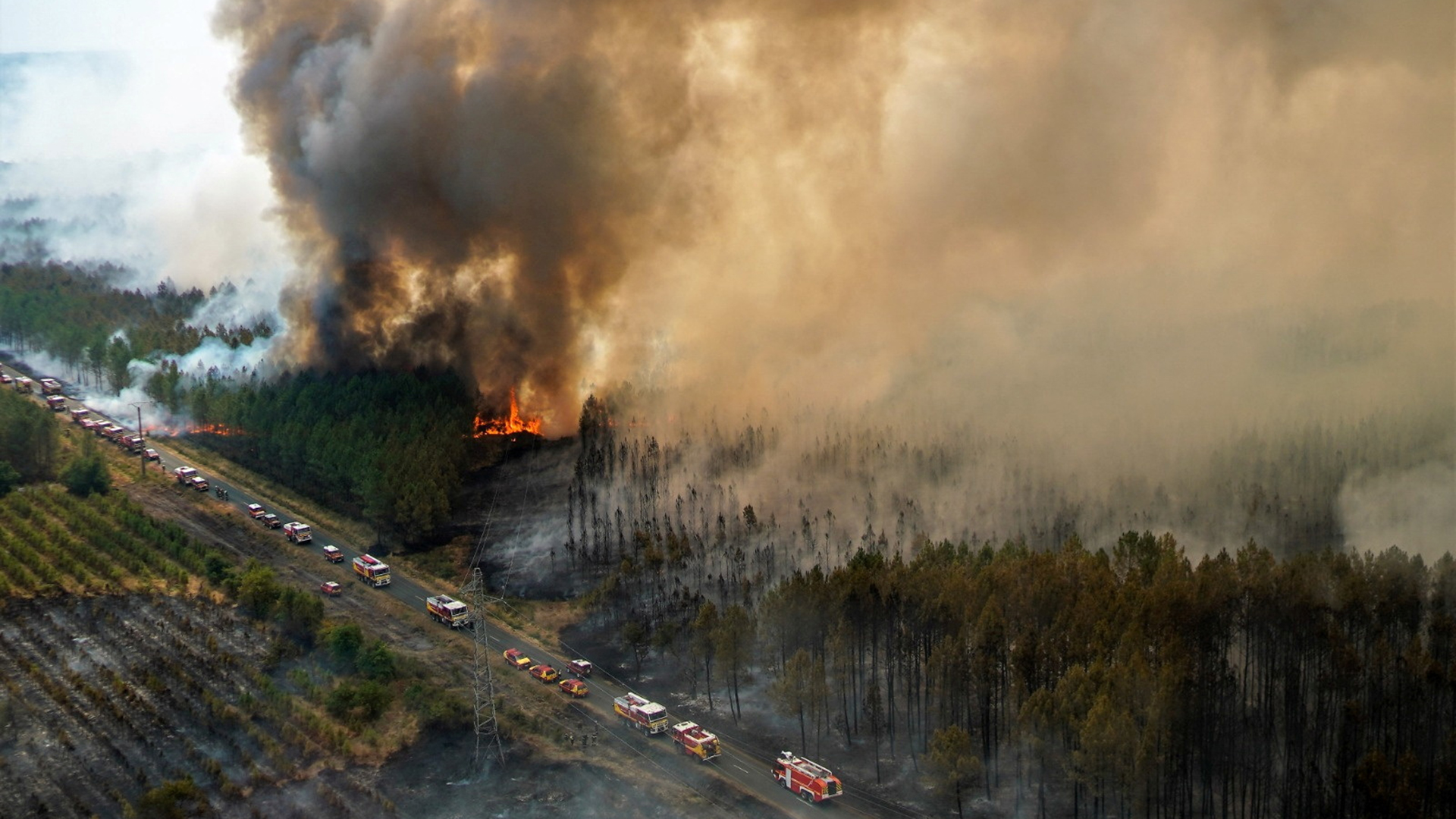 Waldbrand in der Nähe von Hostens, in der Region Gironde im Südwesten Frankreichs. | via REUTERS