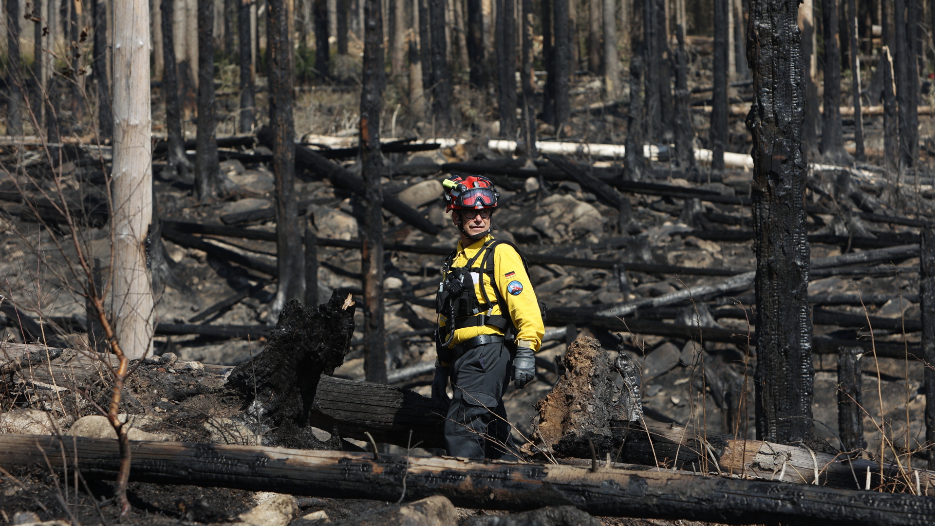Neuer Höchstwert: Bislang 660.000 Hektar Wald in Europa verbrannt