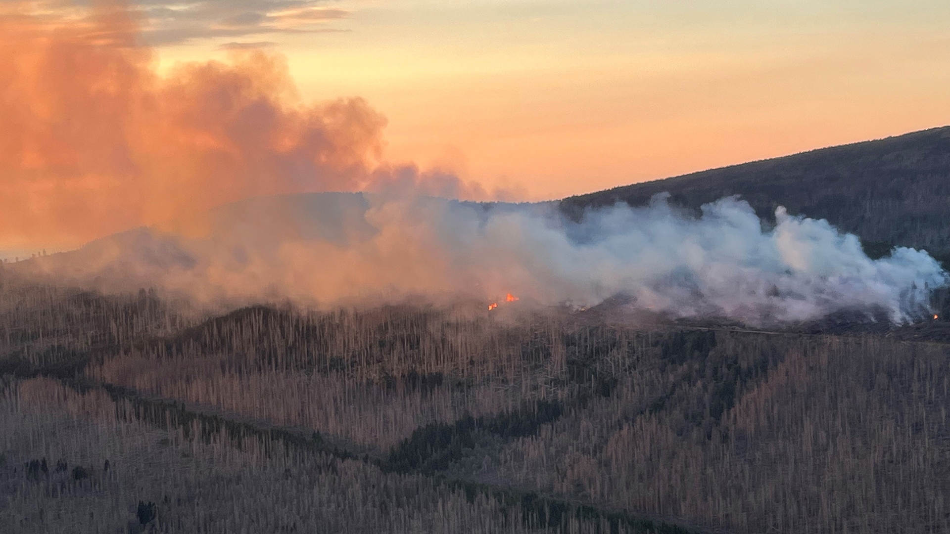 Lichterloh brennt der Wald in einem gesperrten Teil um einen Gipfel im Nationalpark Harz. | picture alliance/dpa/Bundespoliz