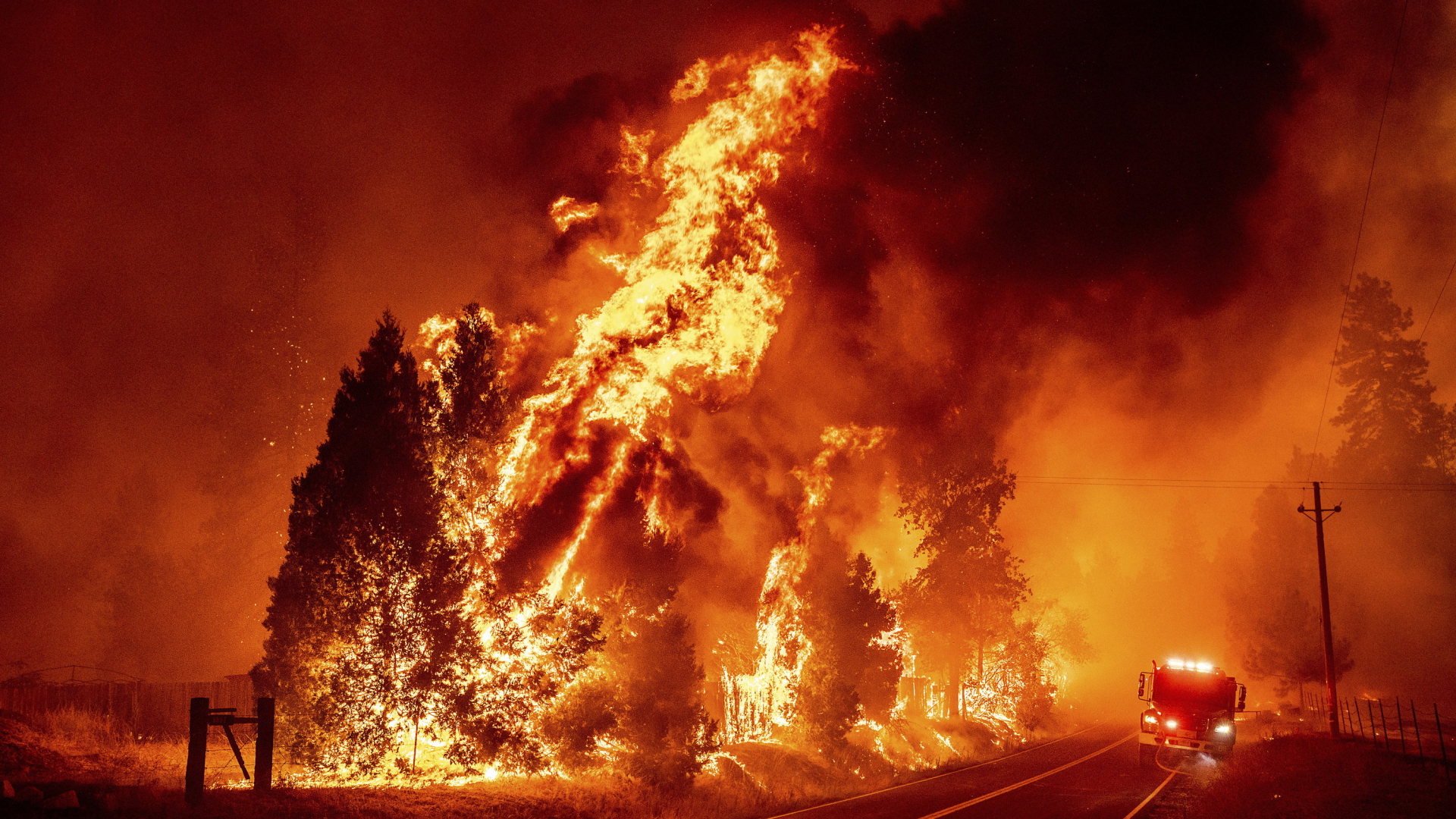 Ein Feuerwehrauto neben lichterloh brennenden Bäumen auf einer Straße im US-Bundesstaat Kalifornien | AP