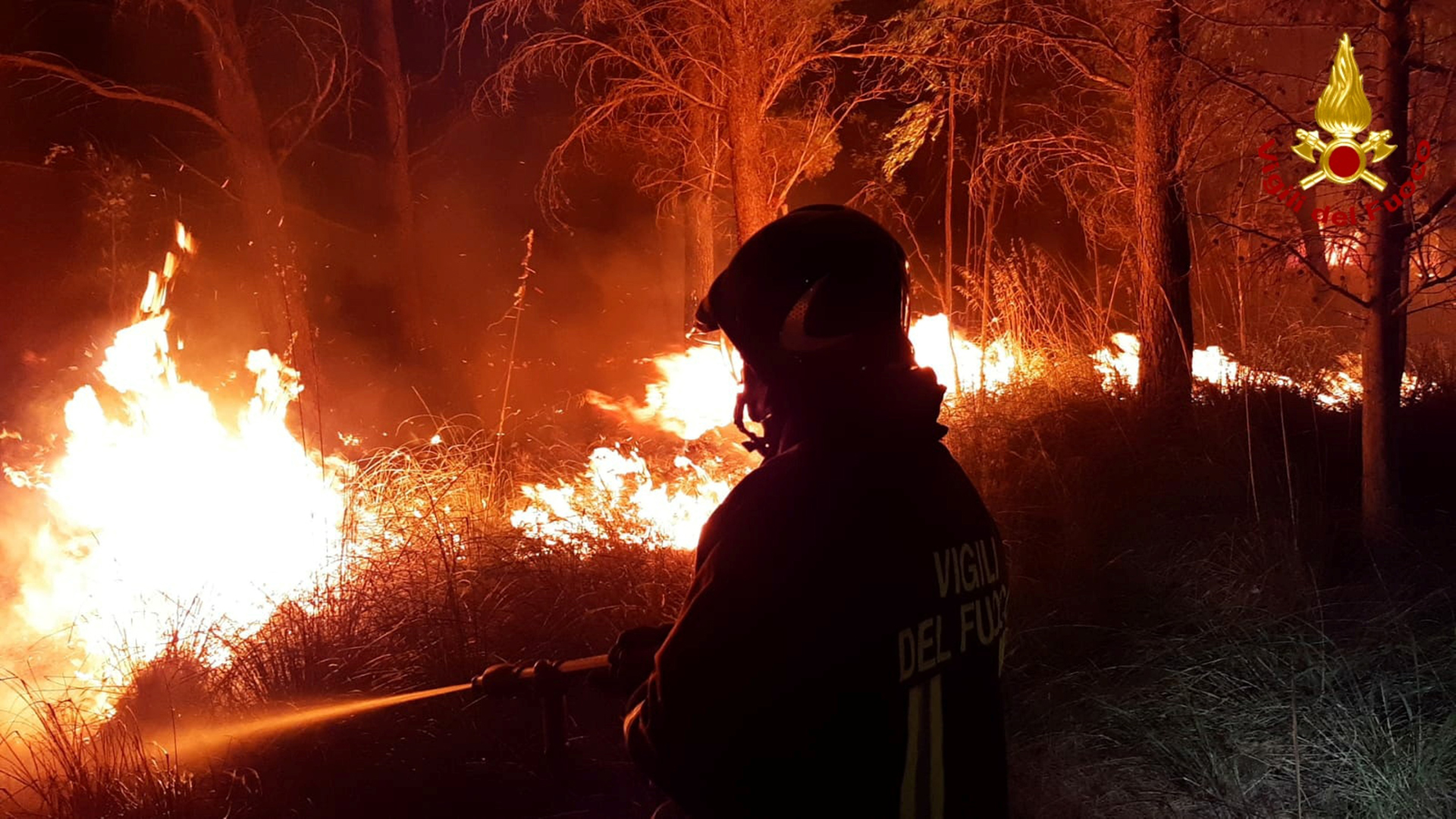 Ein Feuerwehrmann kämpft gegen die Flammen in der Nähe des sizilianischen Dorfes Erice. | via REUTERS