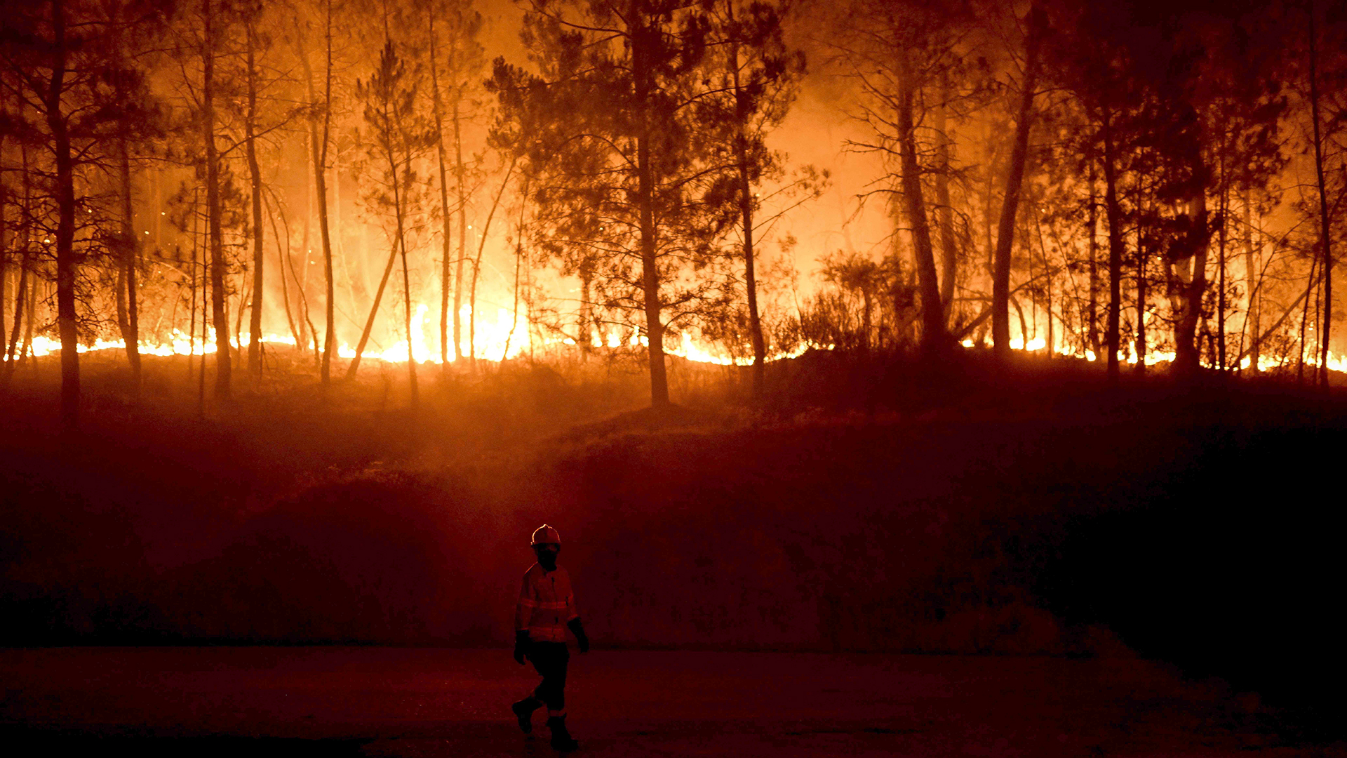 Portugal: Feuer zerstören 3000 Hektar Vegetation