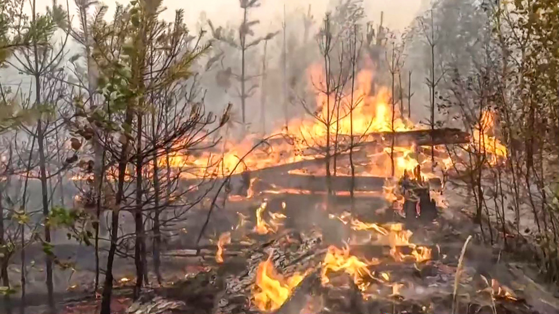 Ein Flächenbrand in der Region Rjasan bei Moskau. | AFP