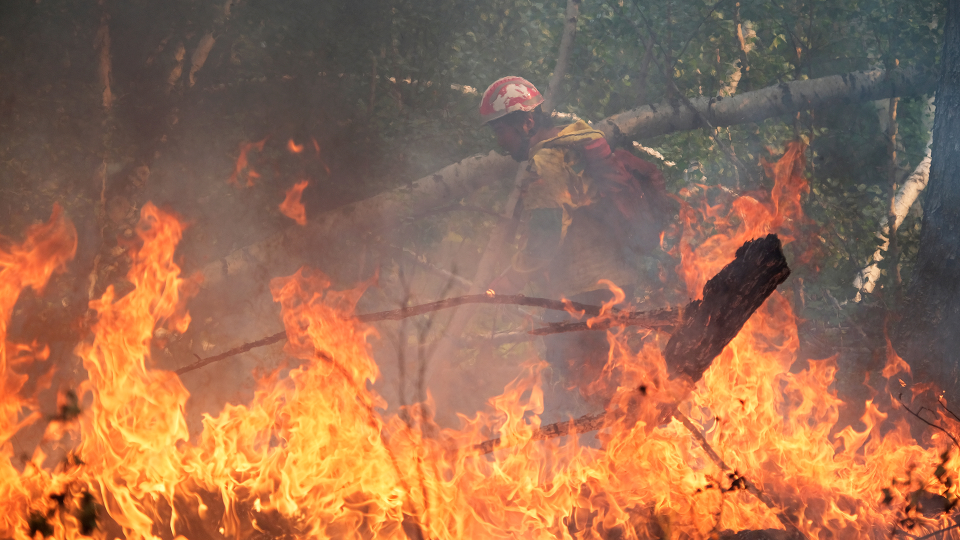 Ein Feuerwehrmann löscht einen Waldbrand in der Nähe des Dorfes Ulu-Sysy in der Region Jakutien (Russland). | REUTERS