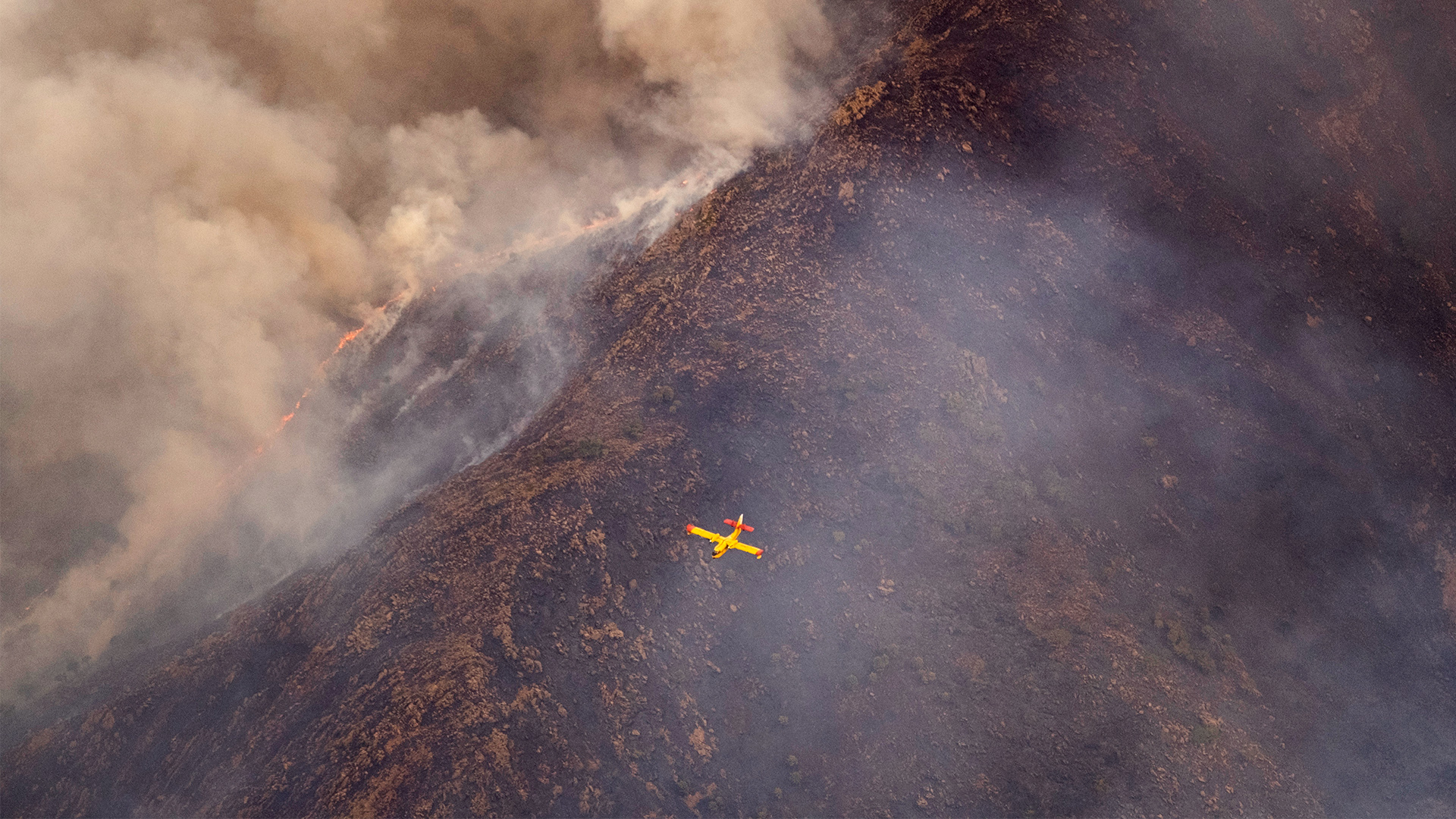 Ein Wasserflugzeug überfliegt einen Waldbrand in der spanischen Provinz Malaga. | dpa