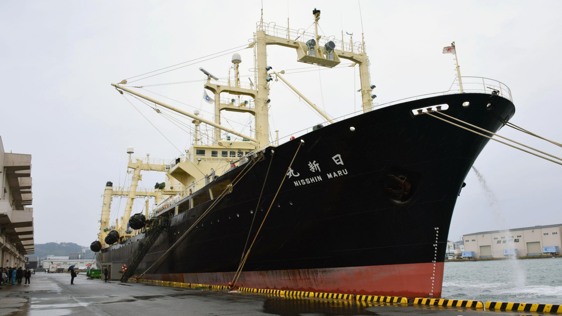 Das japanische Walfangschiff "Nishin Maru" im Hafen von Schimonoseki im Südwesten des Landes. | dpa