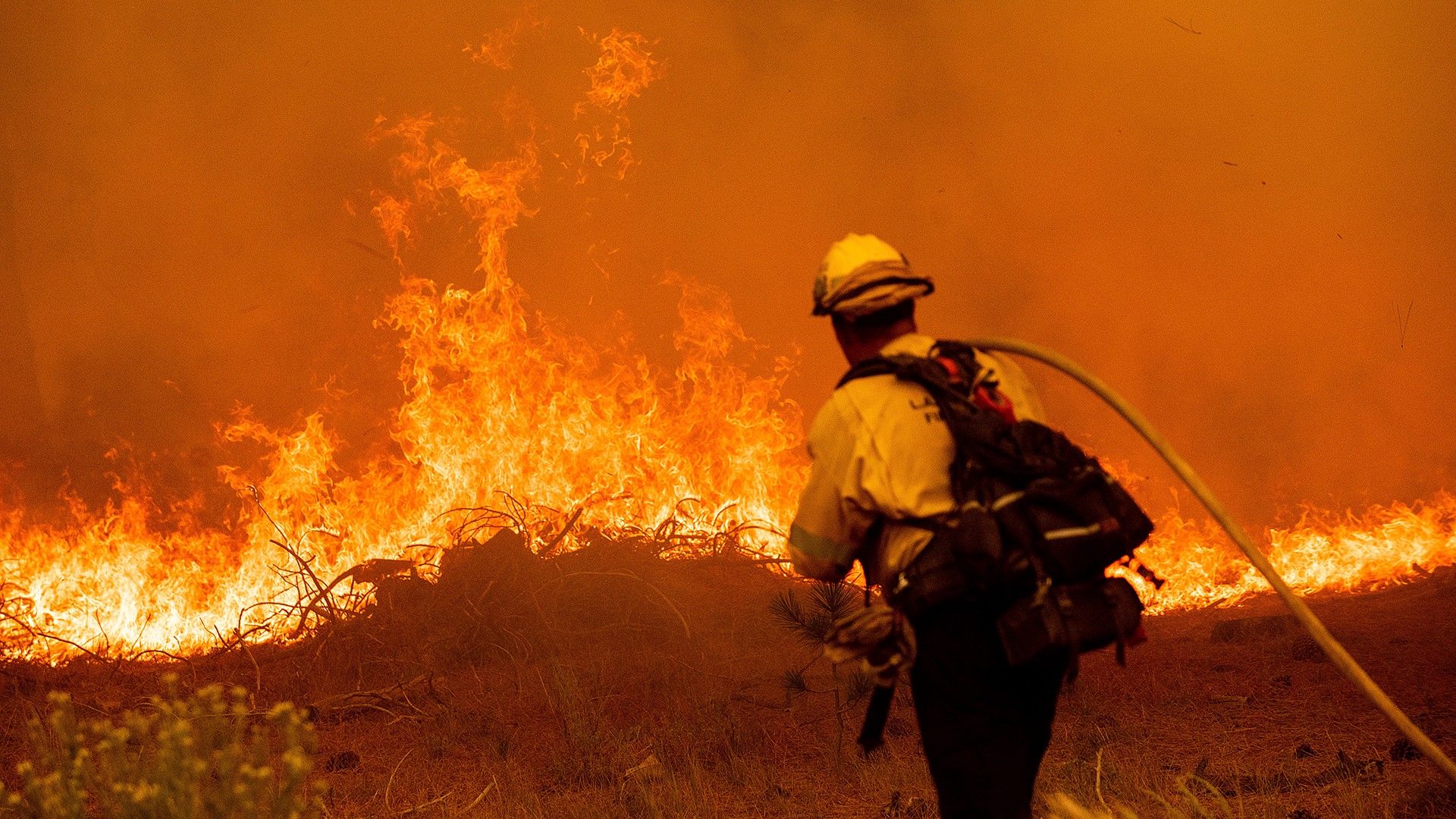 Ein Feuerwehrmann bekämpft das Caldor-Feuer entlang des Highway 89 (South Lake Tahoe, USA). | dpa