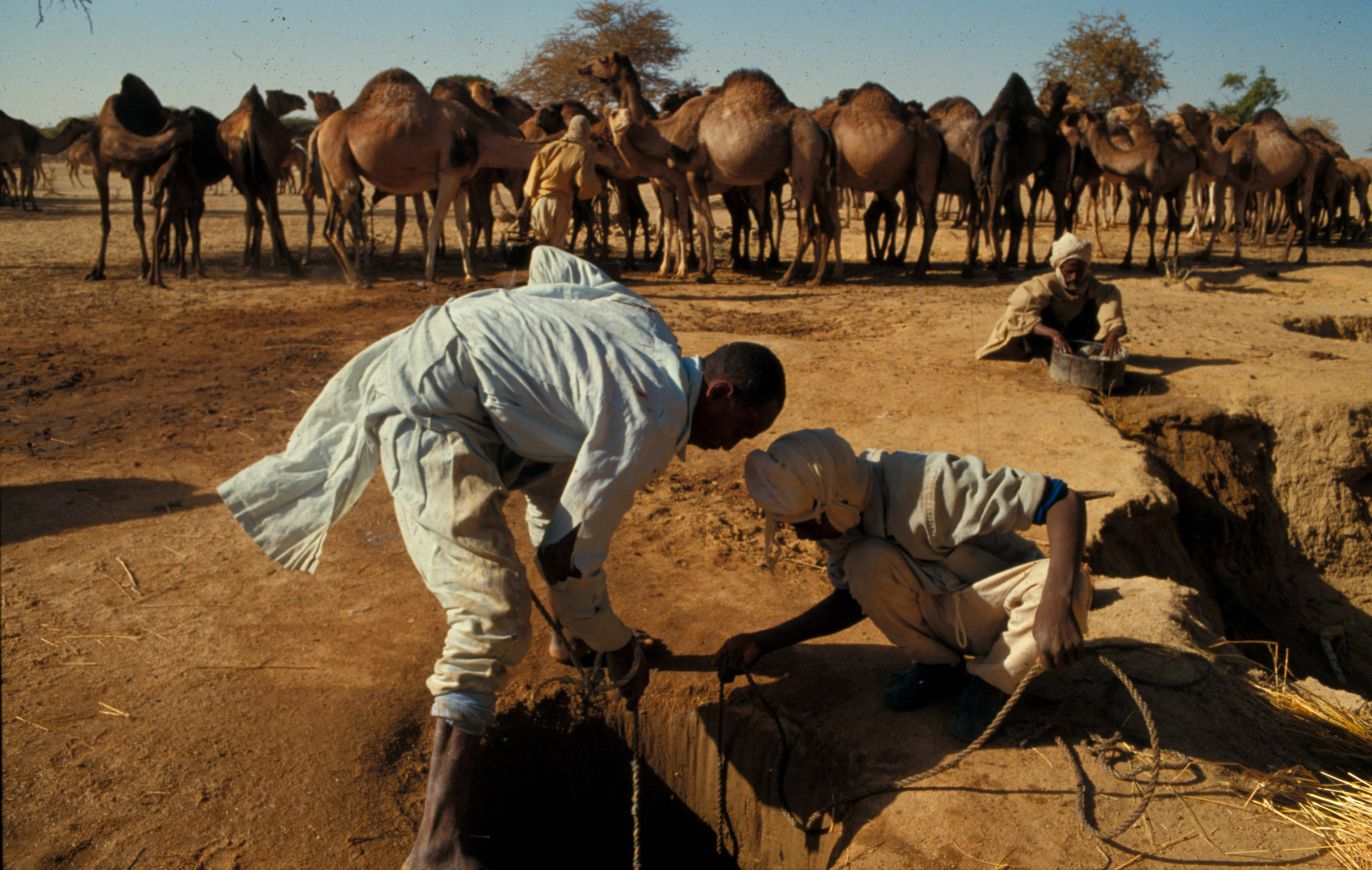 Brunnen in der Wüste des Tschad | picture-alliance / Godong