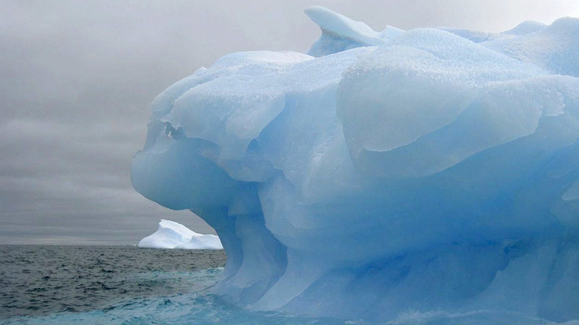 Ein undatiertes, vom Obersten Rat für wissenschaftliche Untersuchungen (CSIC) veröffentlichtes Bild zeigt einen riesigen blauen Eisberg, der im chilenischen Weddellmeer treibt. | picture alliance / dpa