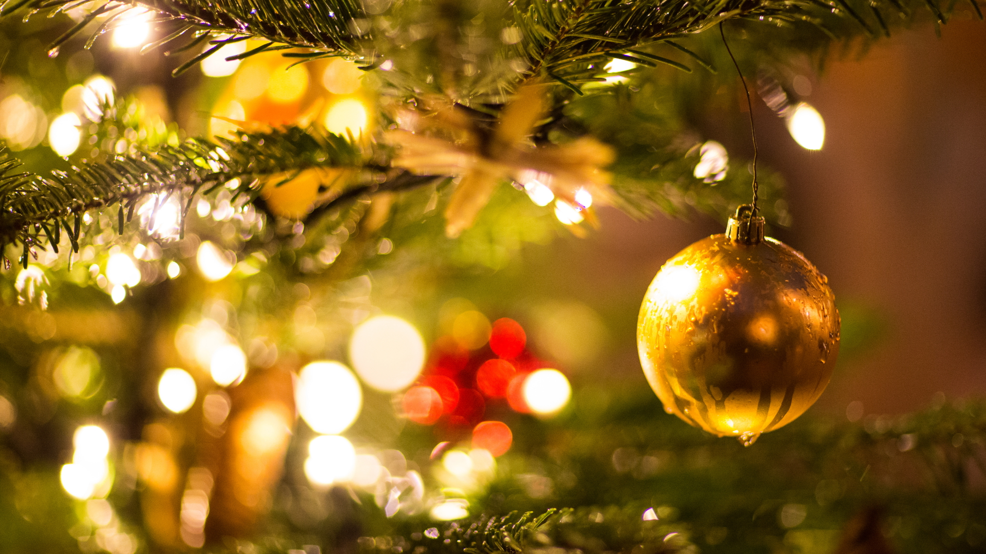 Eine goldene Kugel an einem mit Kerzen geschmückten Weihnachtsbaum | dpa
