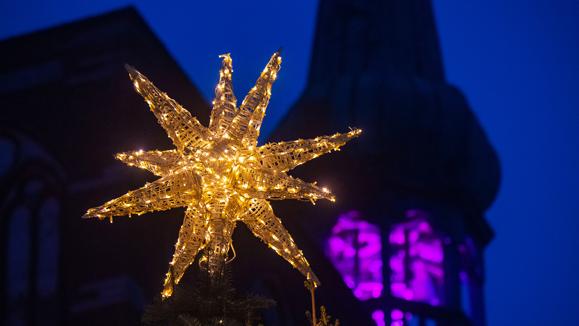 Ein Weihnachtsstern schmückt den Weihnachtsbaum auf dem Alten Markt vor dem Rathaus in Stralsund )Mecklenburg-Vorpommern). | picture alliance/dpa
