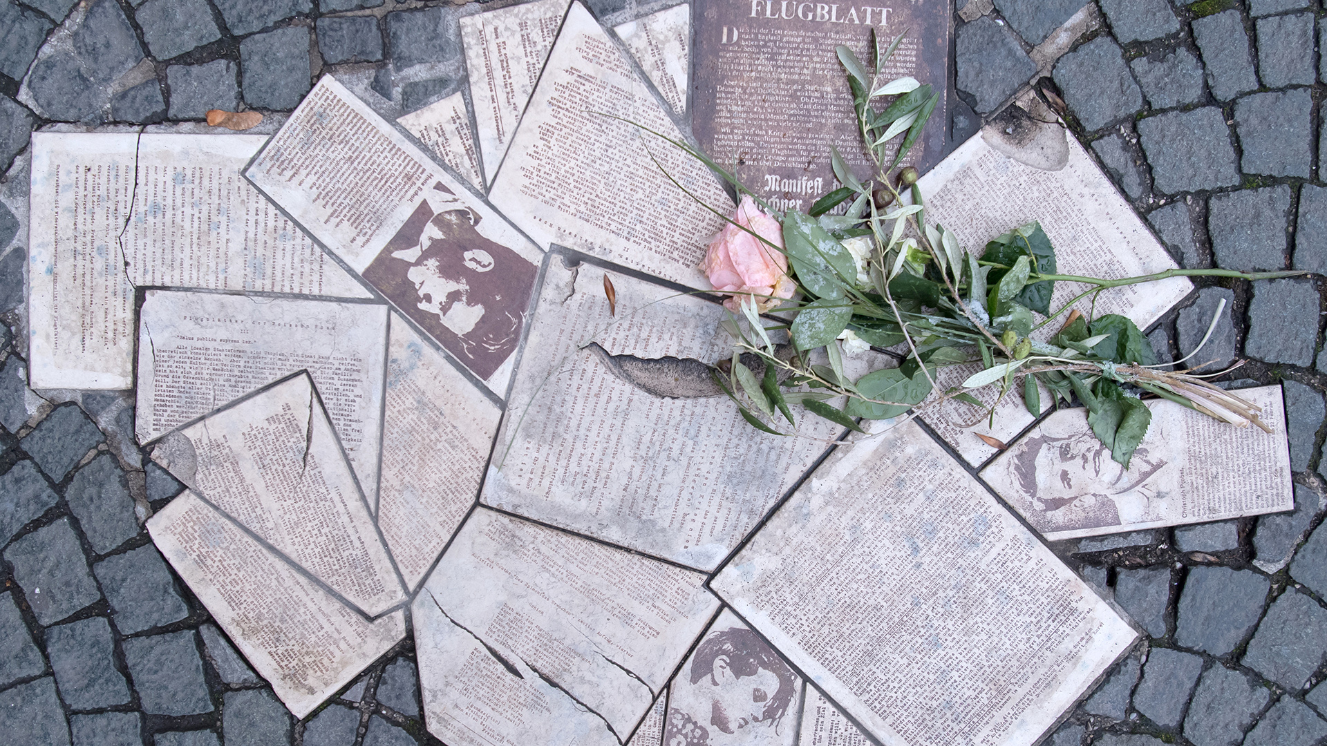 Gedenken an “Weiße Rose”: Steinmeier ruft zum Einsatz für Demokratie auf