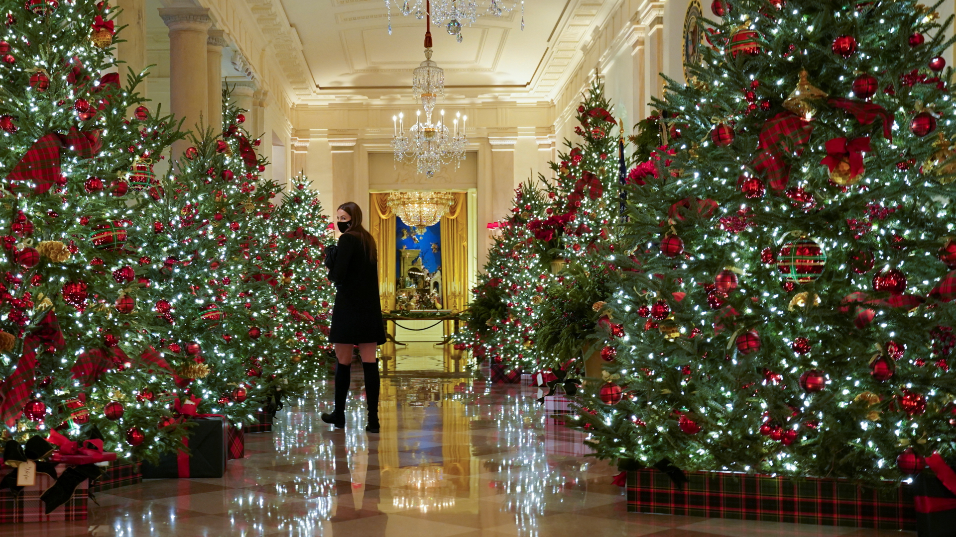 Das Weiße Haus in Washington ist mit Weihnachtsbäumen geschmückt | REUTERS