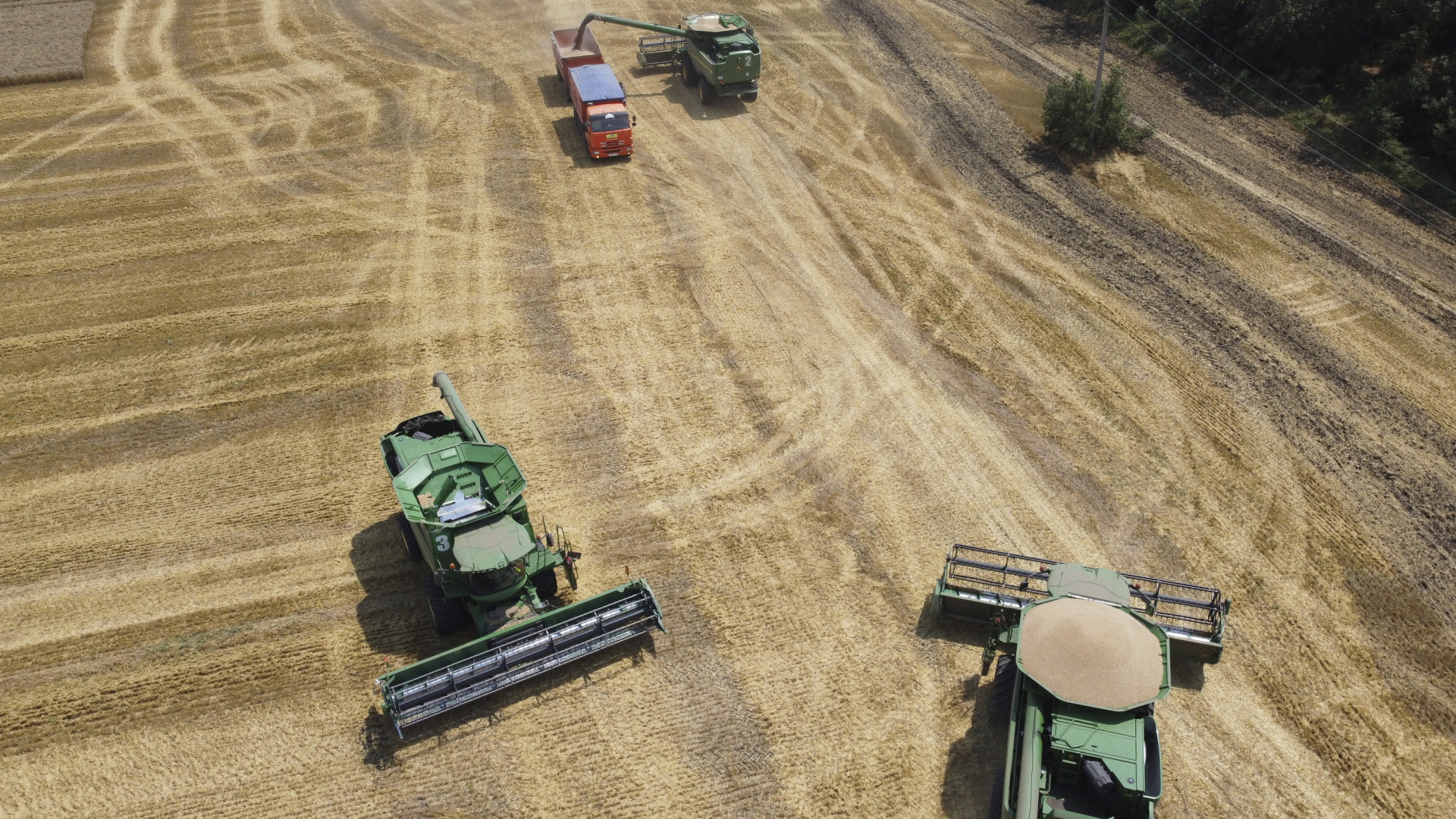 Landwirte ernten Weizen mit Maschinen auf einem Feld in Russland. | AP