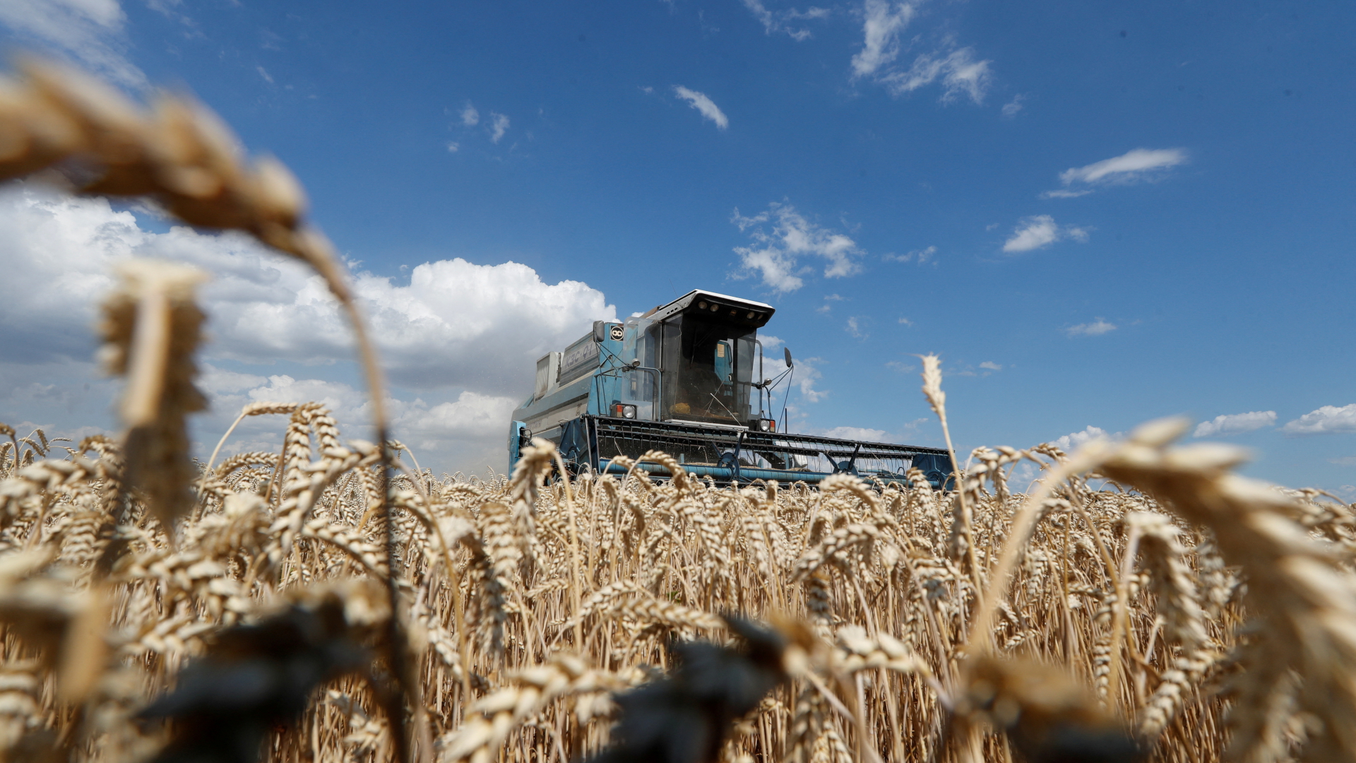 Ein Mähdrescher bei der Weizenernte in der Ukraine