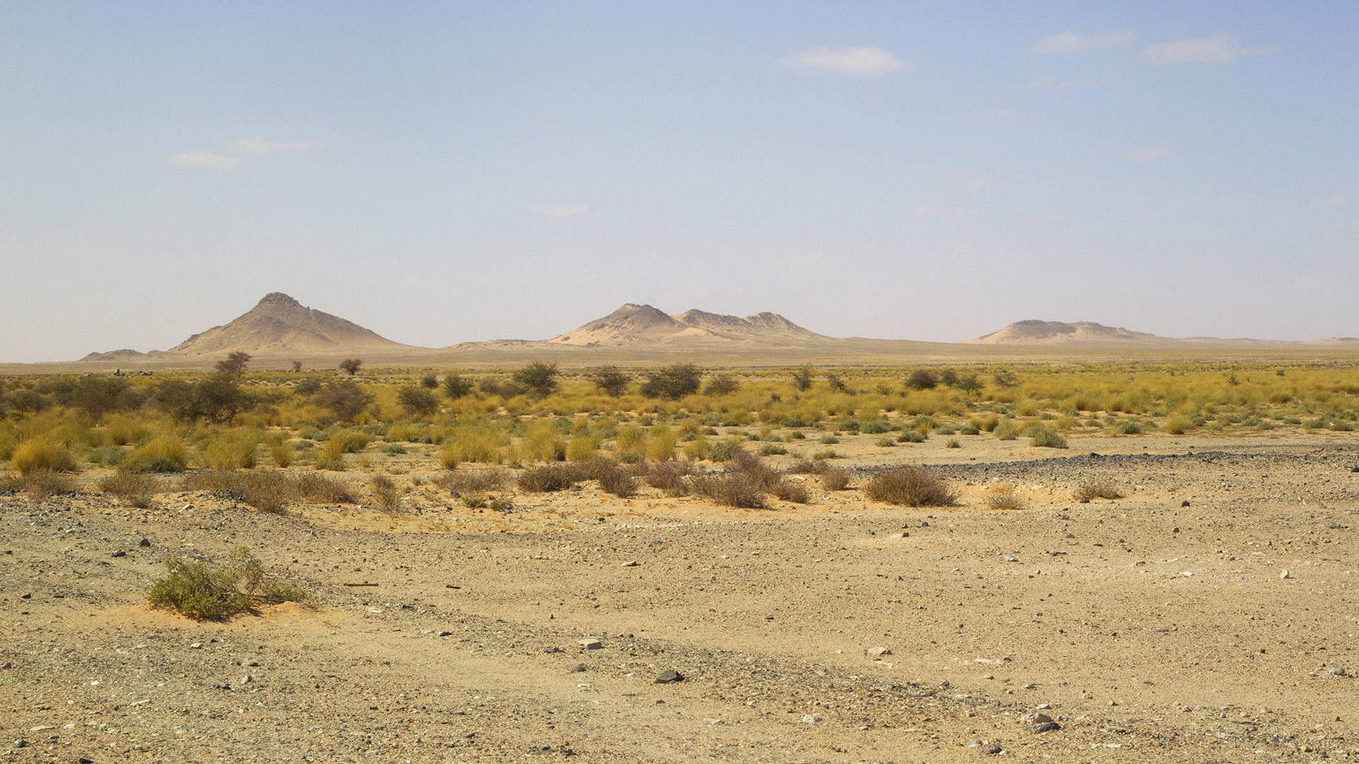 Westsahara-Landschaft bei Assouerd