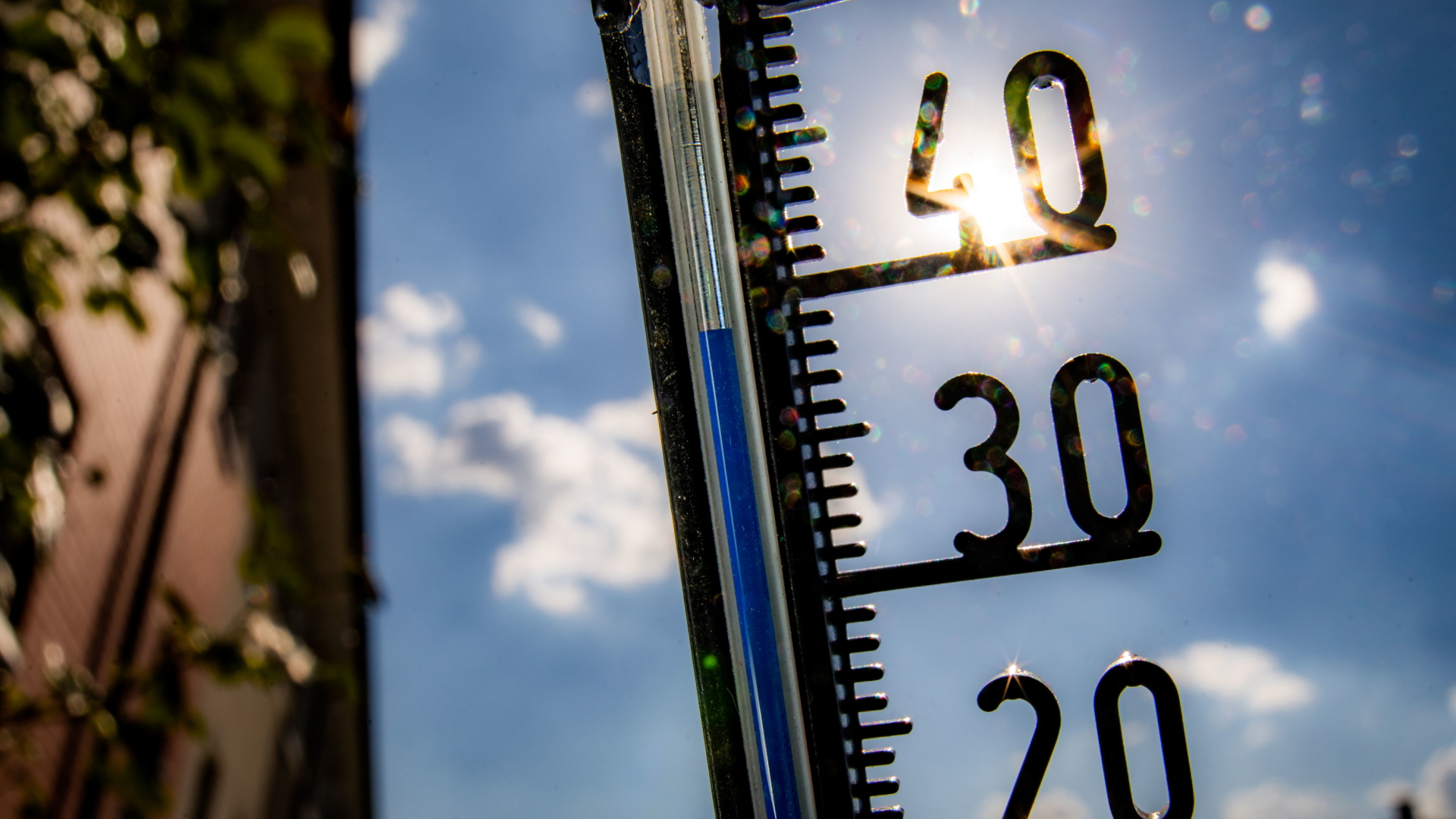 Ein Thermometer zeigt 39 Grad Celsius an